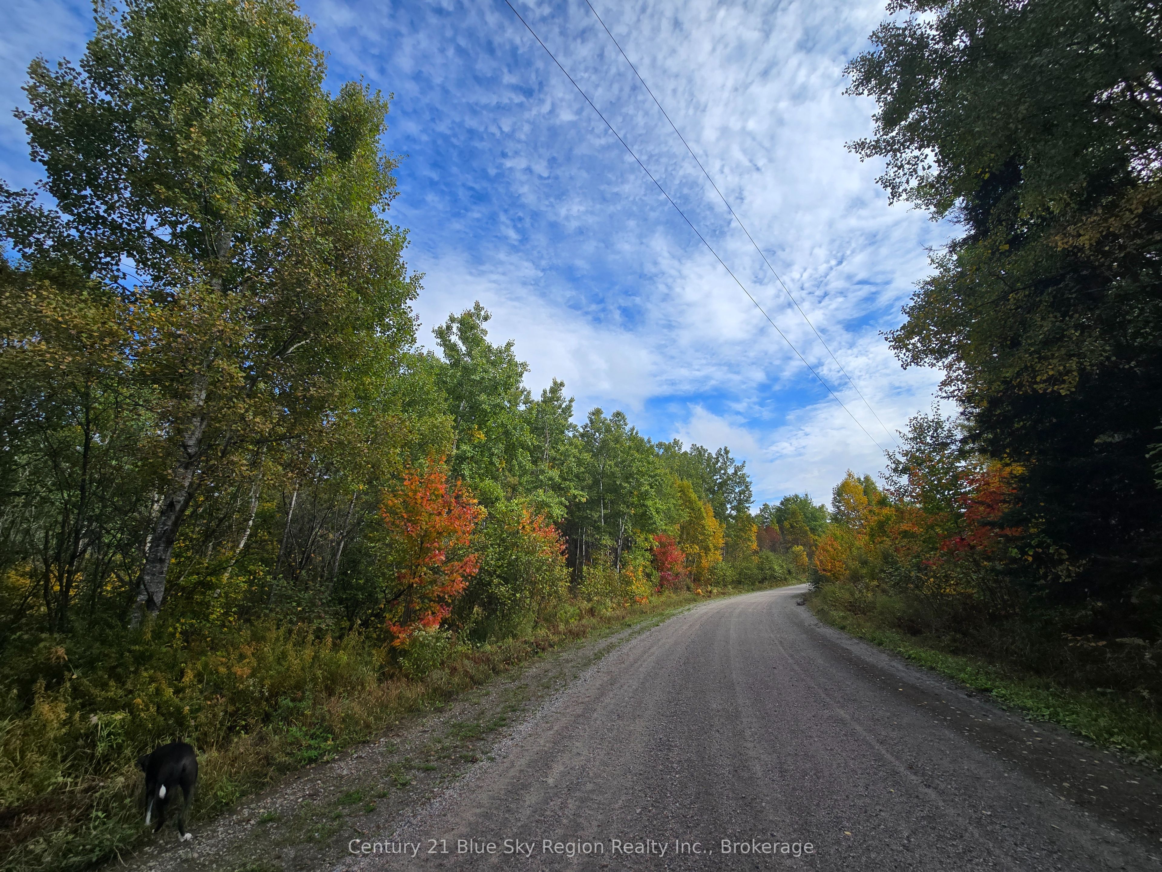 3 Guillemette Rd Property Photo 4