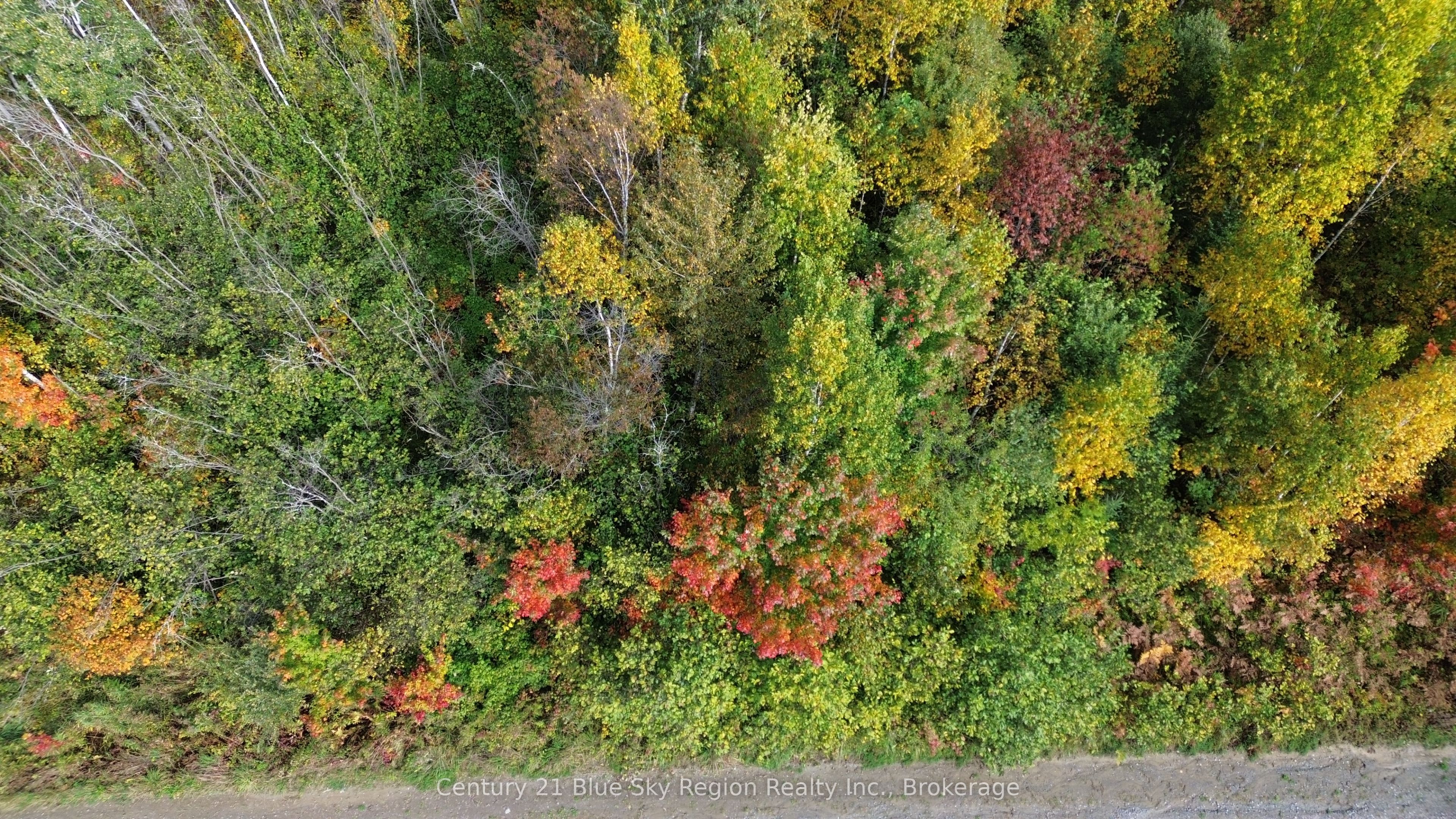 3 Guillemette Rd Property Photo 5