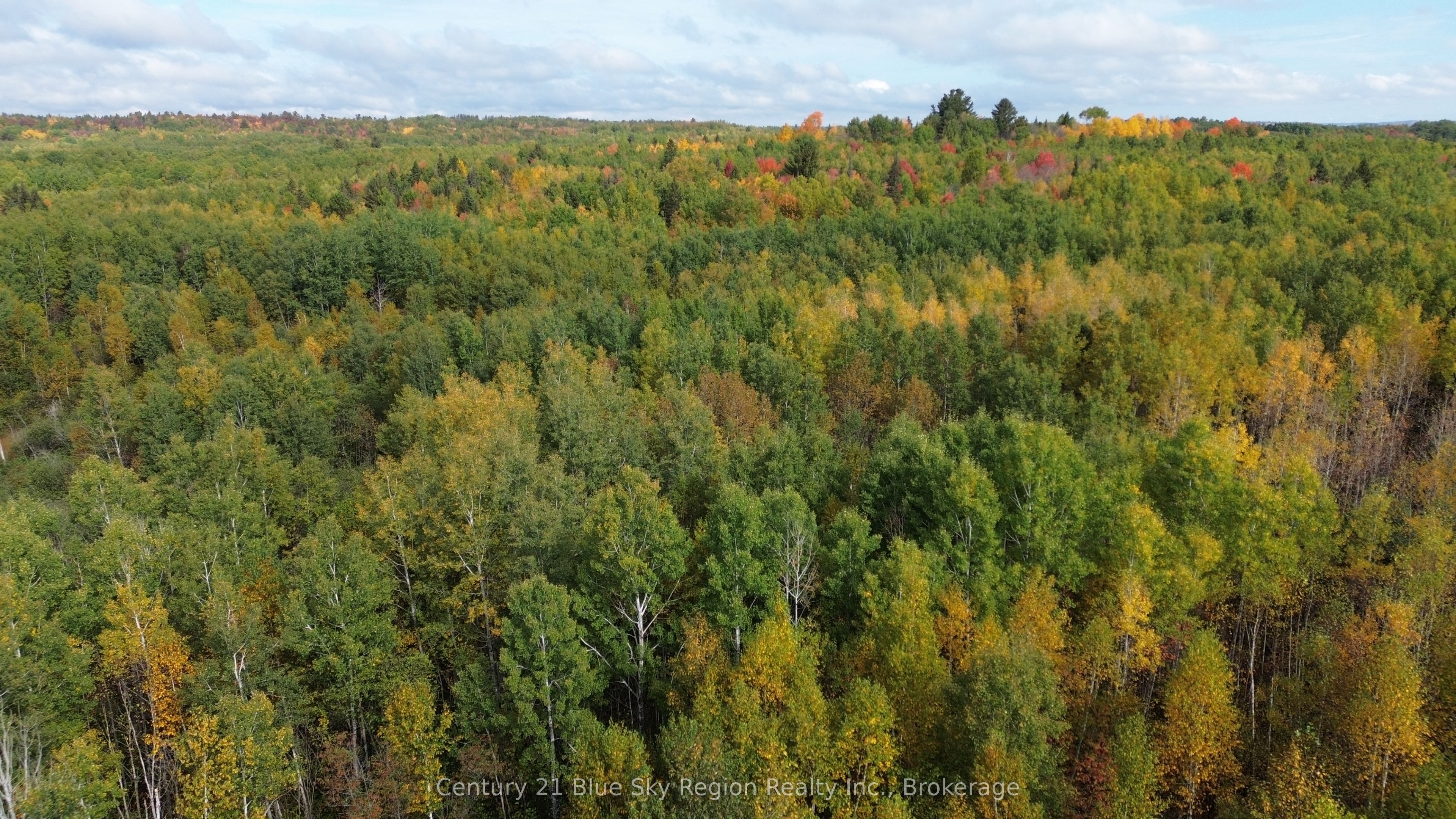 3 Guillemette Rd Property Photo 6