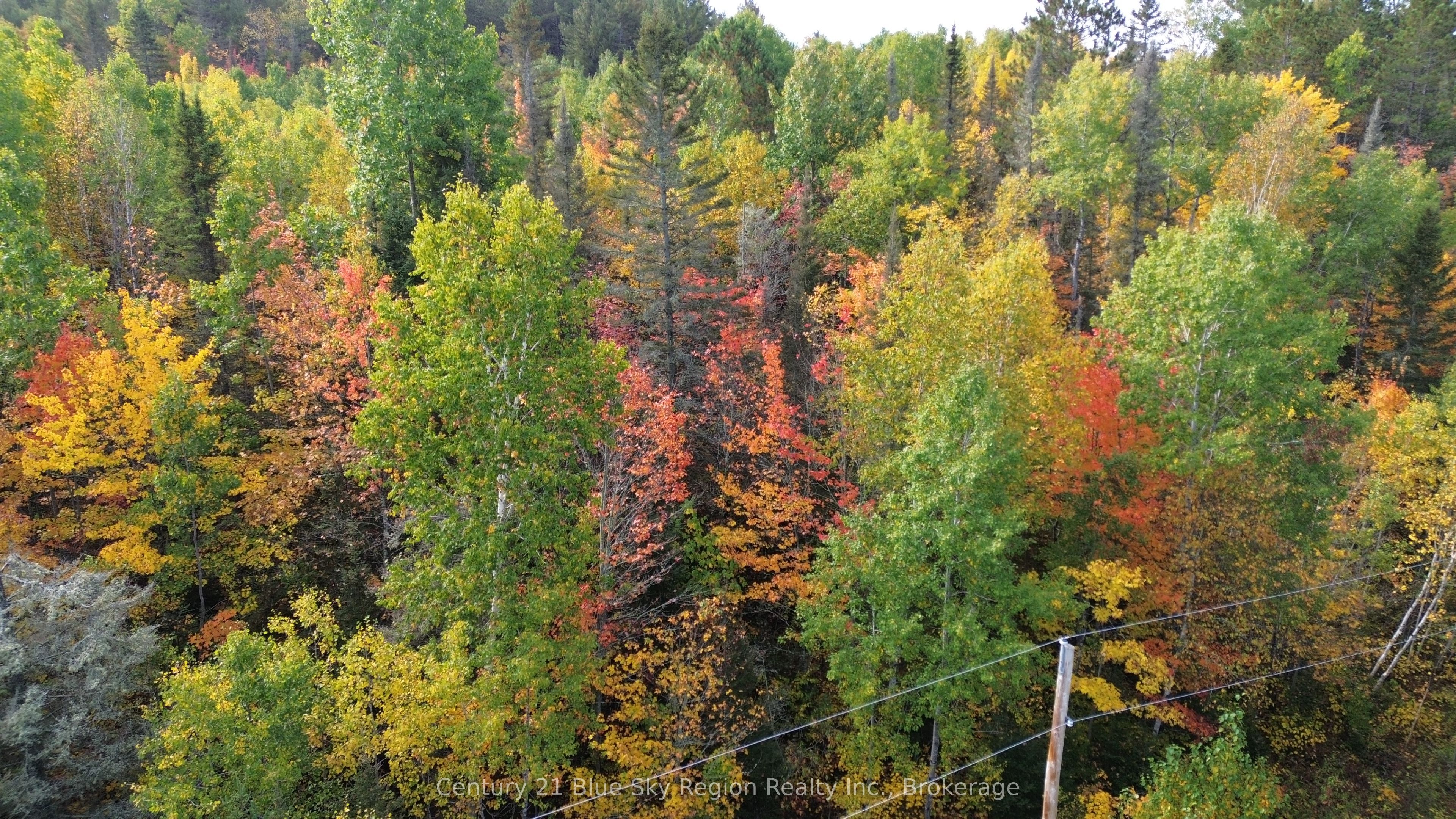 3 Guillemette Rd Property Photo 11