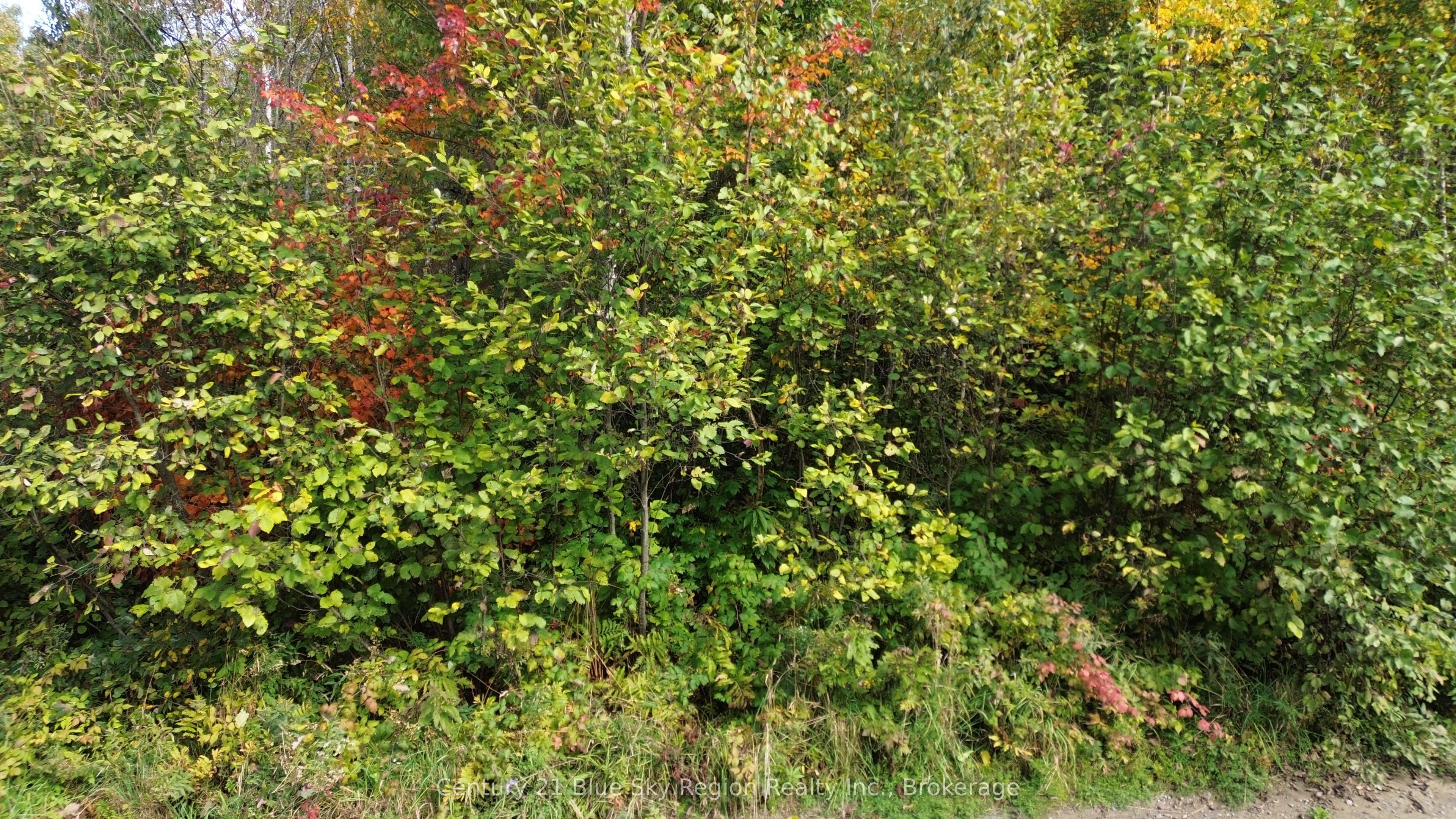 3 Guillemette Rd Property Photo 12