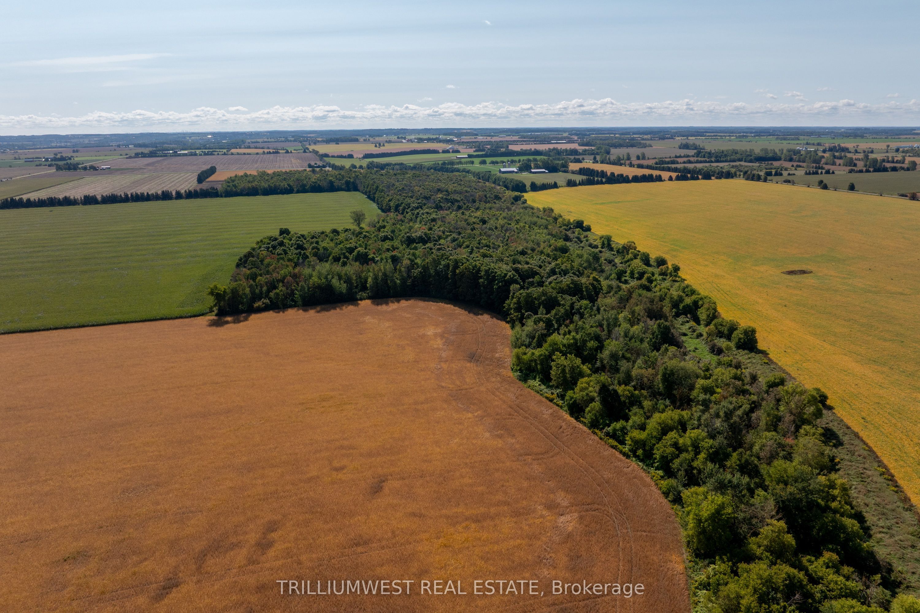 201340 Dufferin Road 109 Road Property Photo 13