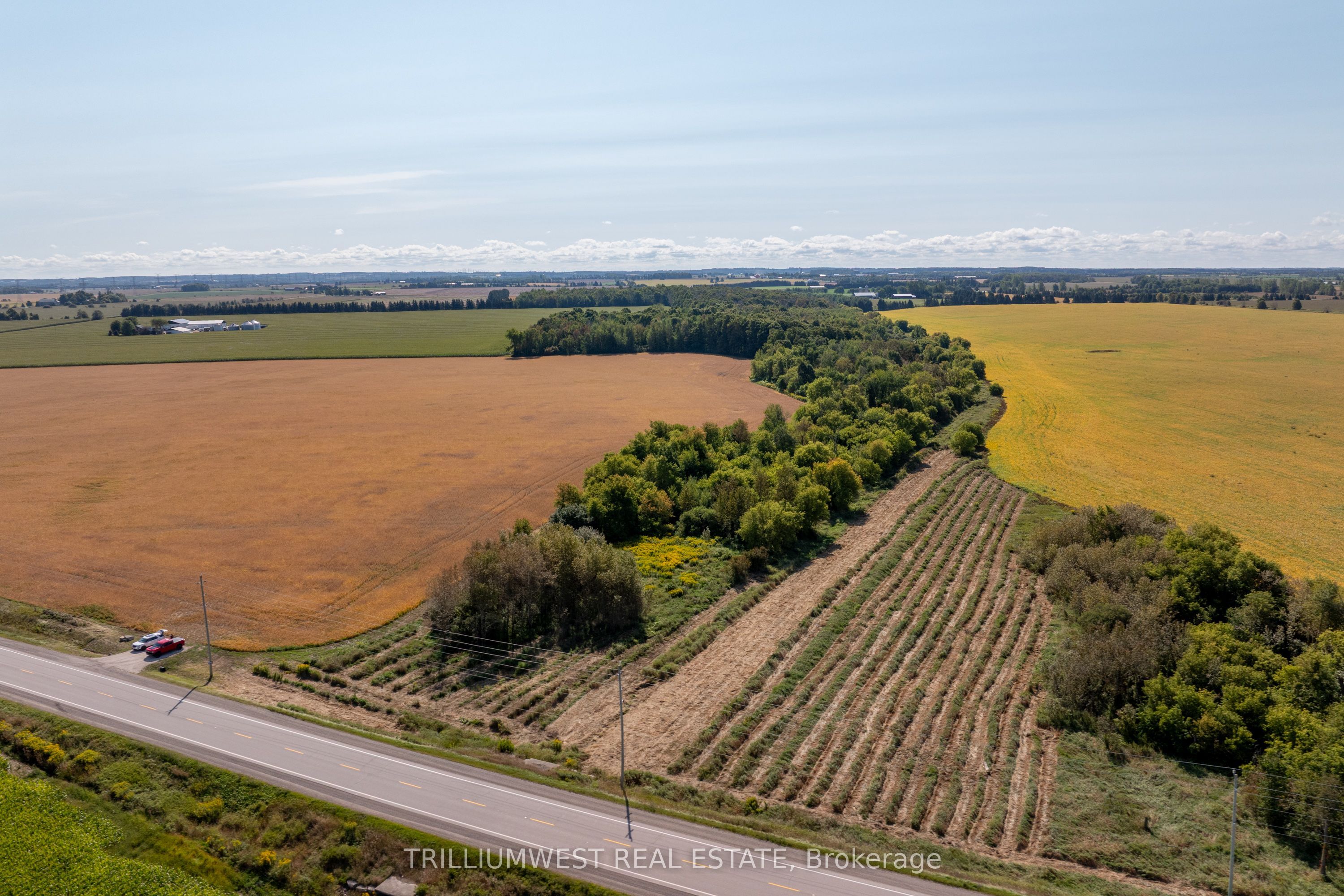 201340 Dufferin Road 109 Road Property Photo 15