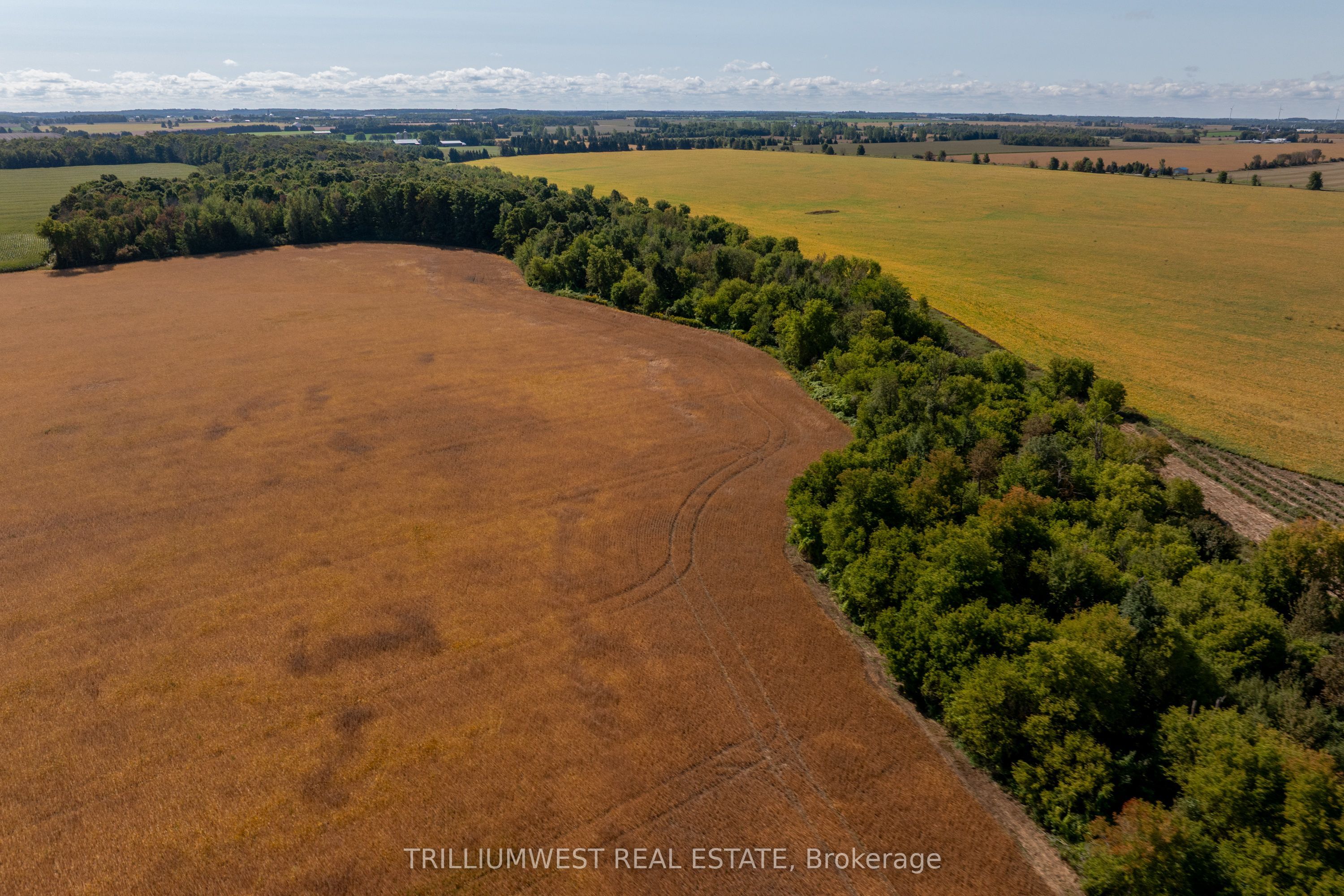 201340 Dufferin Road 109 Road Property Photo 16