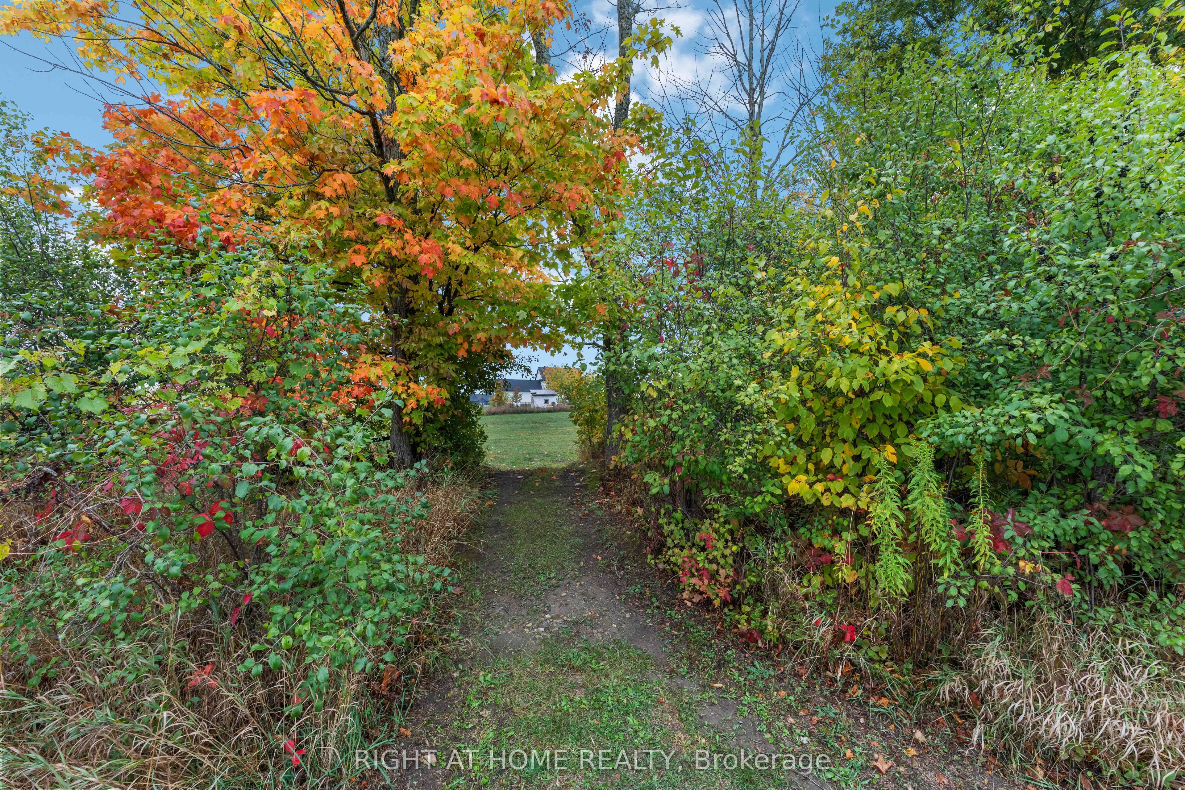 408 Gaelic Glen Ridge Property Photo 48