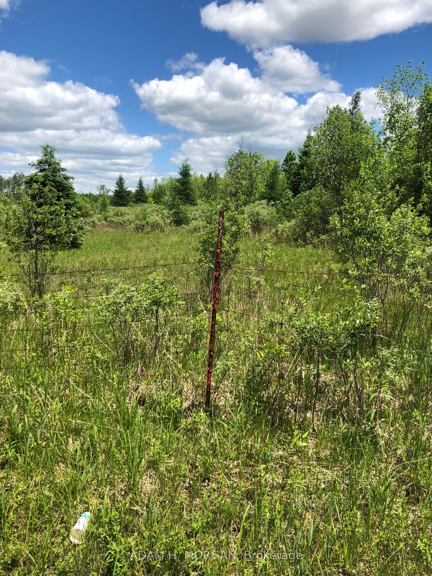 3501 County Rd 15 Road Property Photo 3