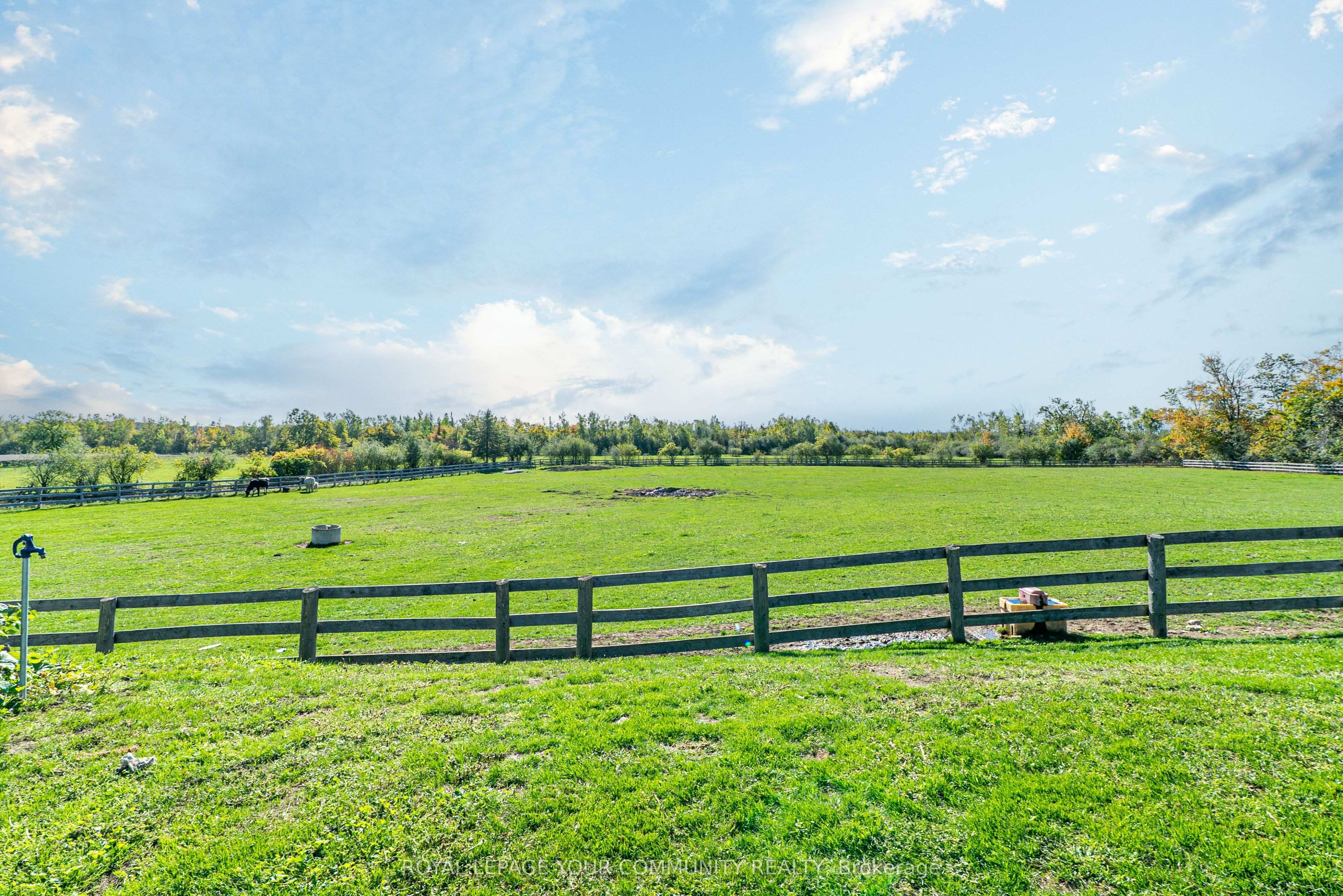 3752 Hwy 35 Highway Property Photo 10