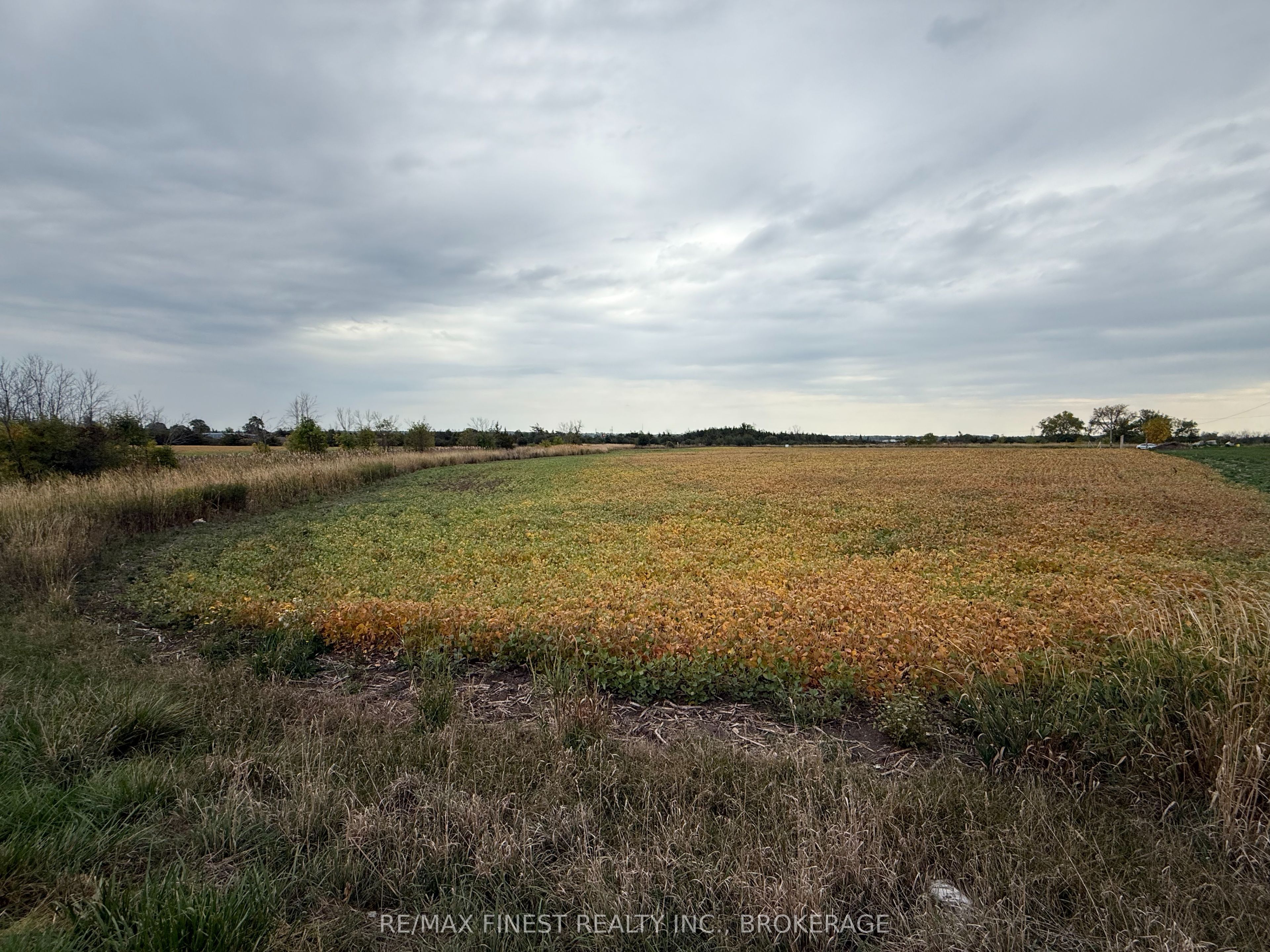 208a Drive In Road Property Photo 1
