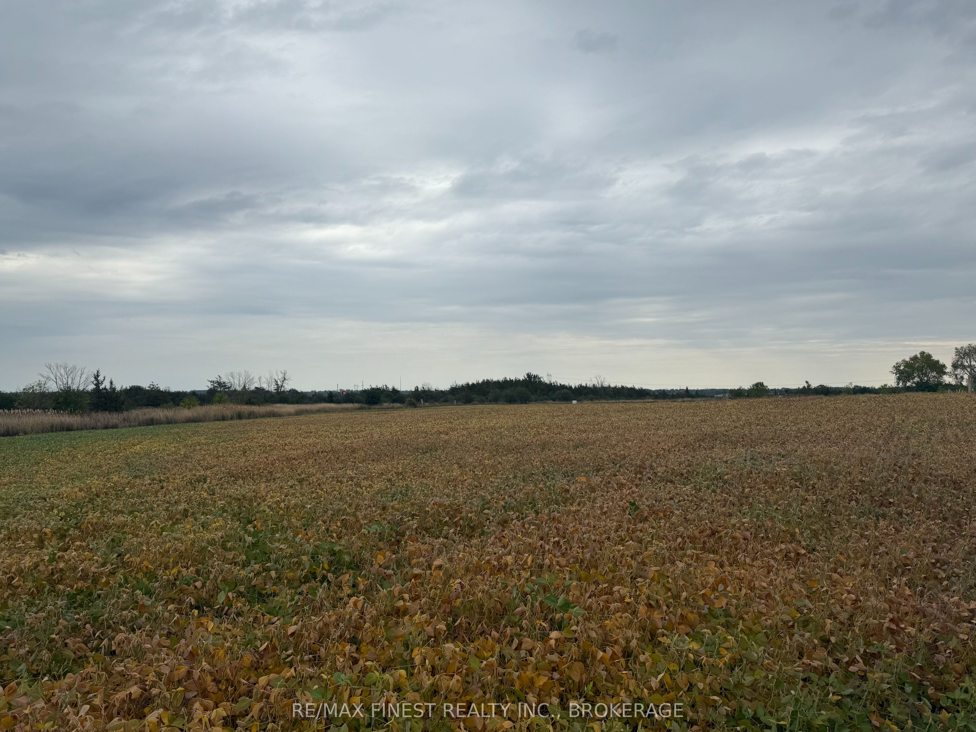 208a Drive In Road Property Photo 3