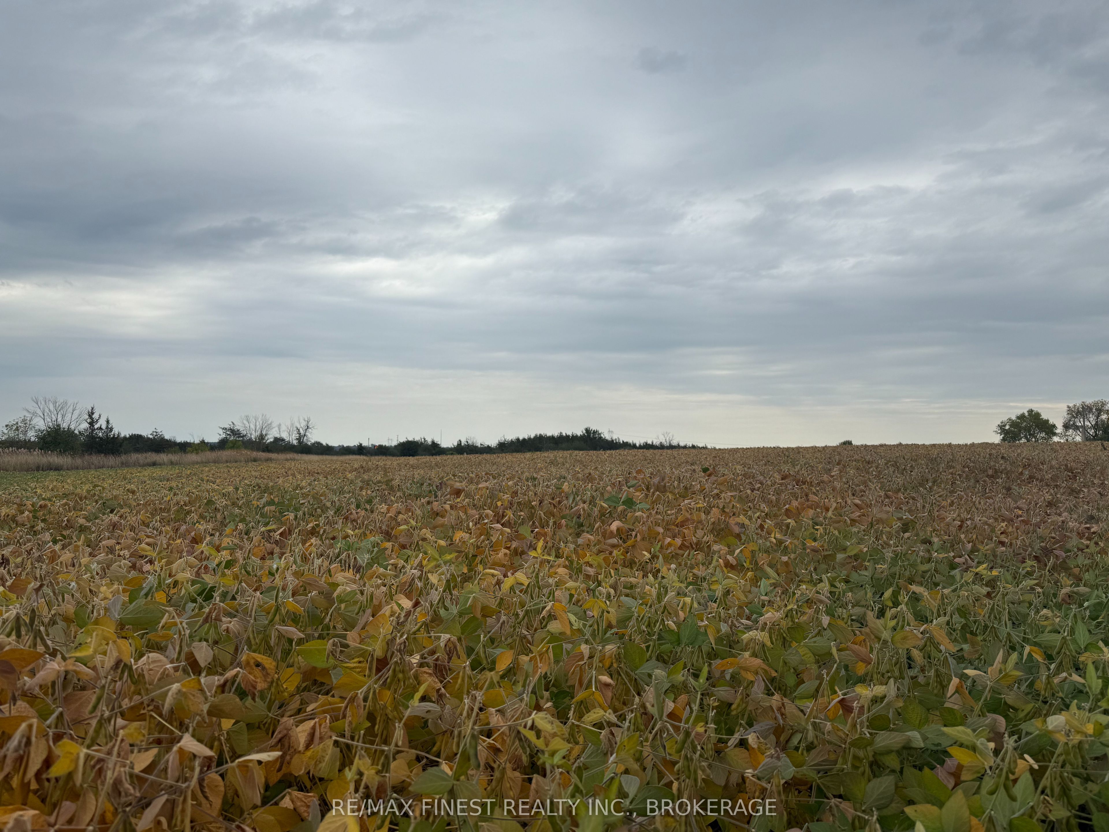 208a Drive In Road Property Photo 4