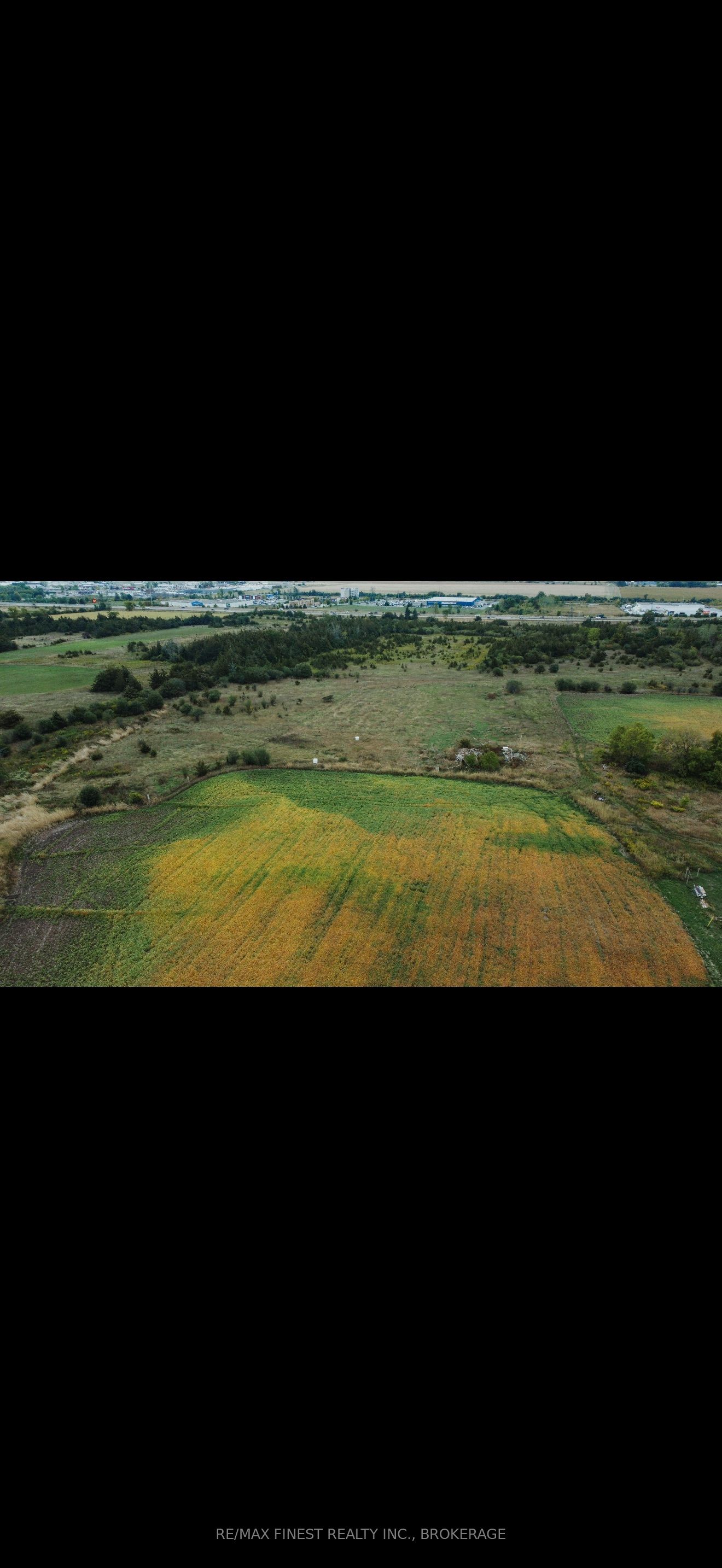 208a Drive In Road Property Photo 6