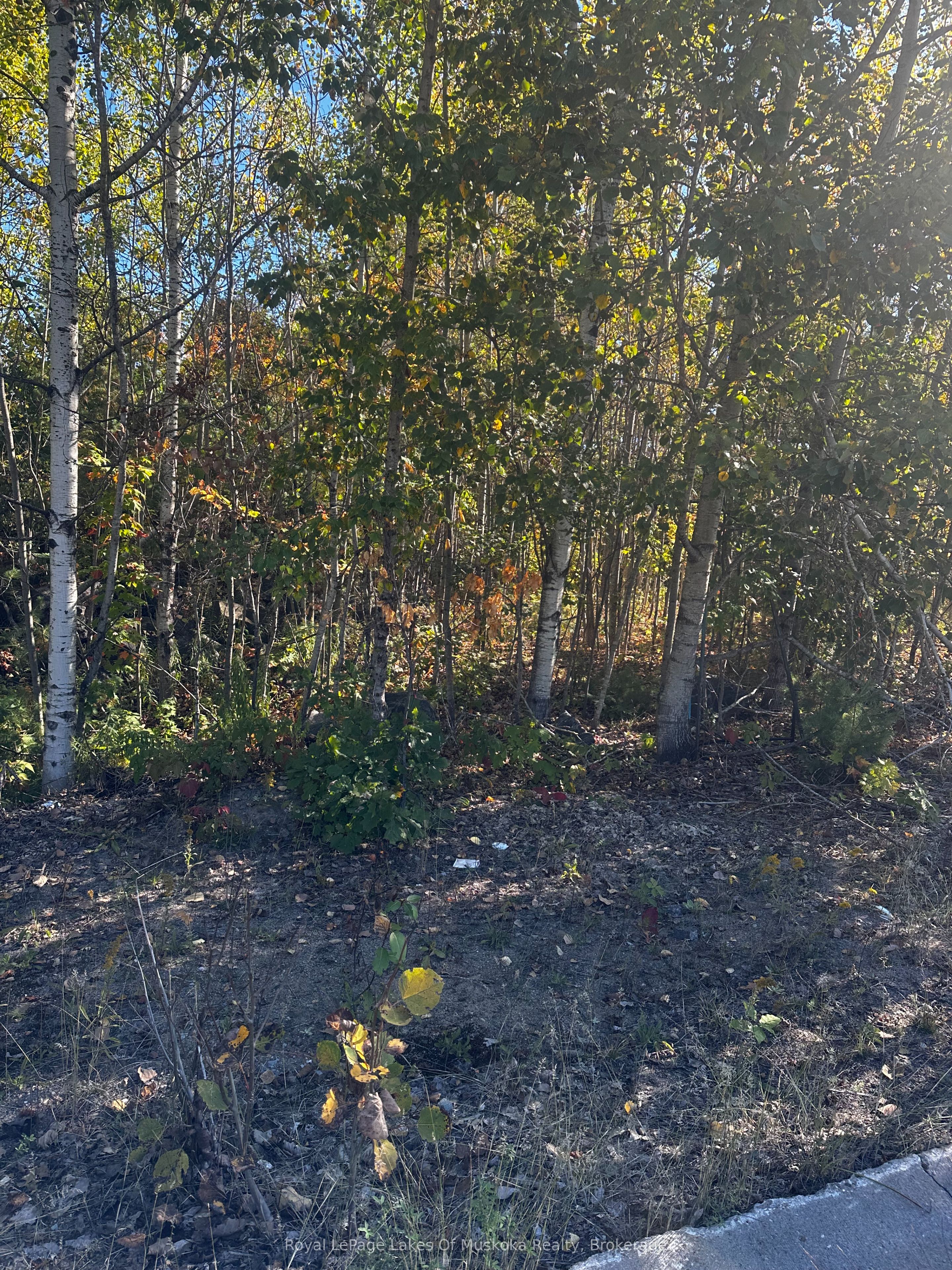 23 Freeland Drive Property Photo 1