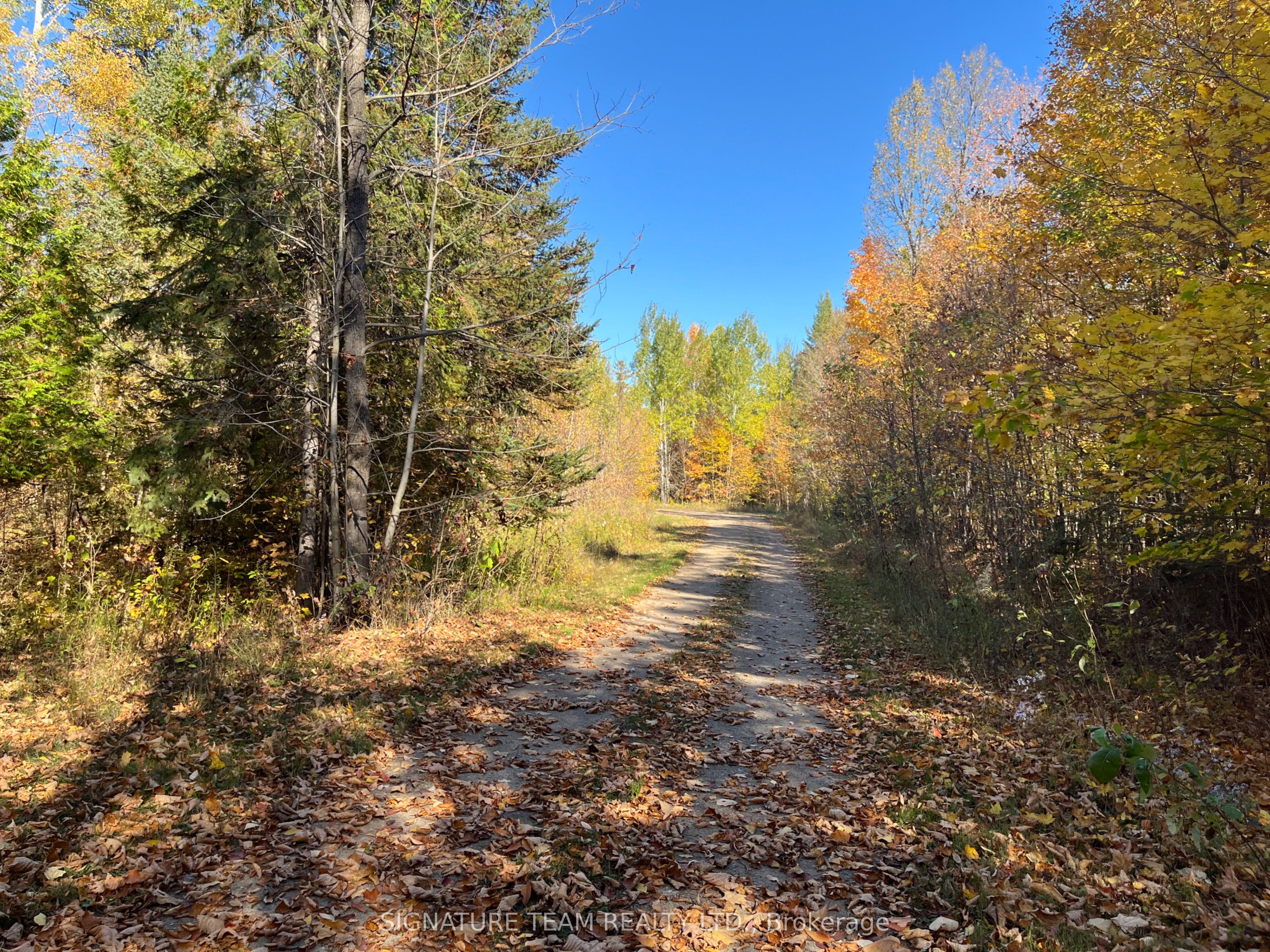 0 Minnie Road Property Photo 2