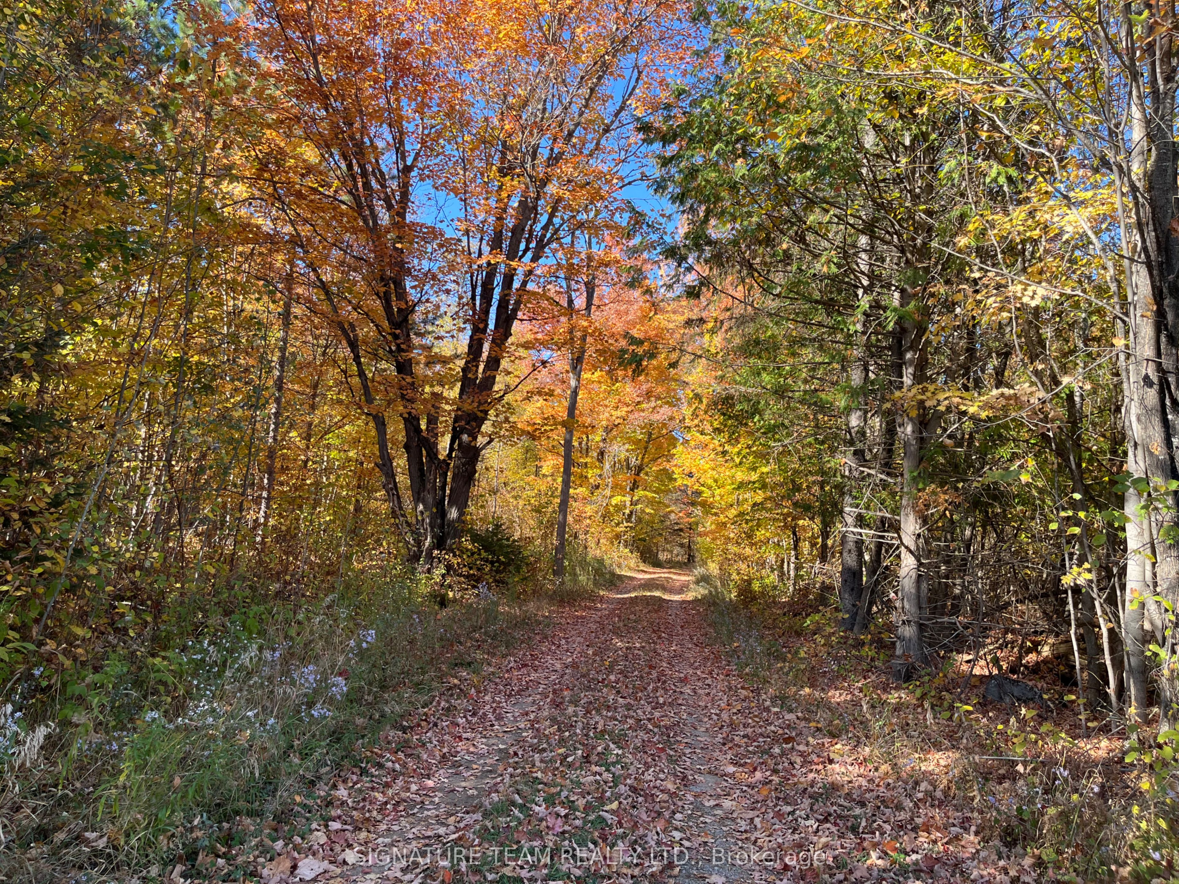 0 Minnie Road Property Photo 3