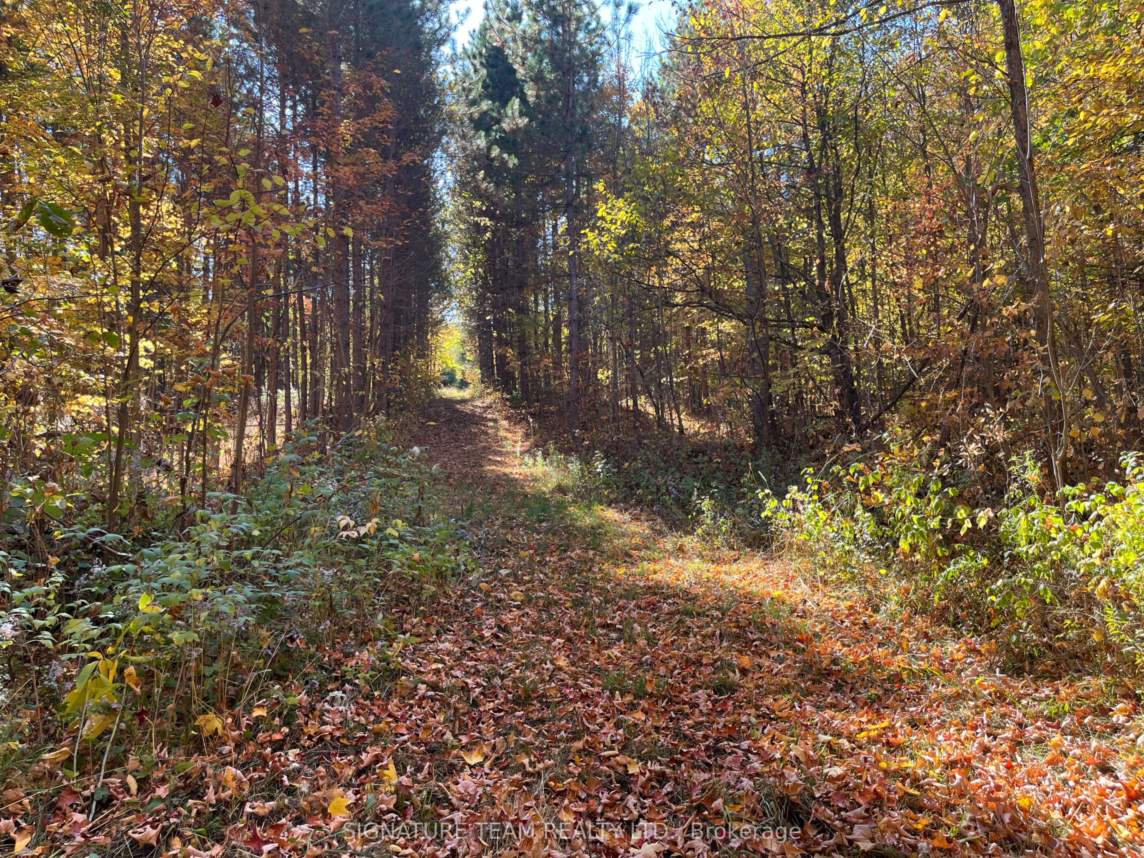 0 Minnie Road Property Photo 4