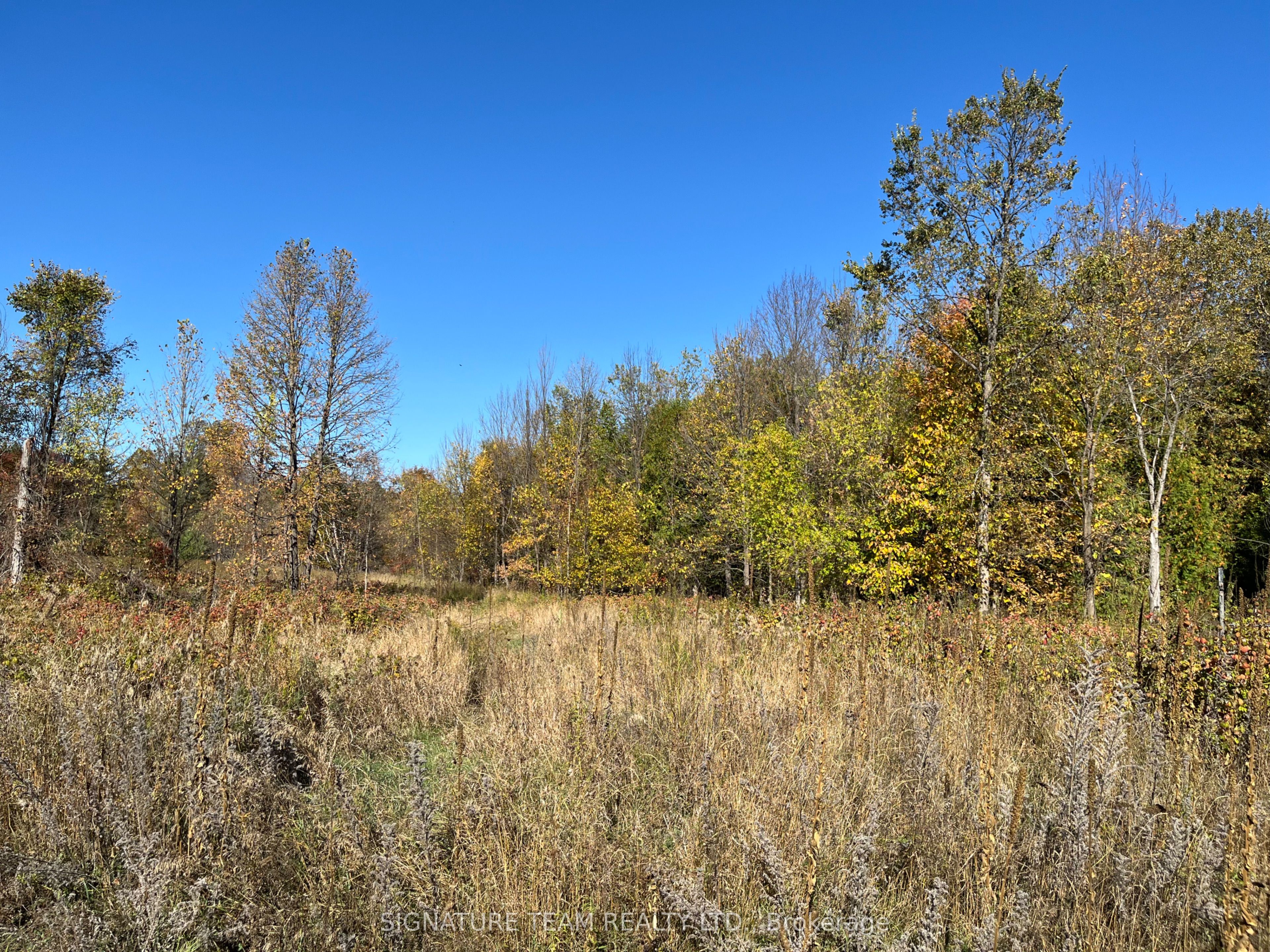 0 Minnie Road Property Photo 5