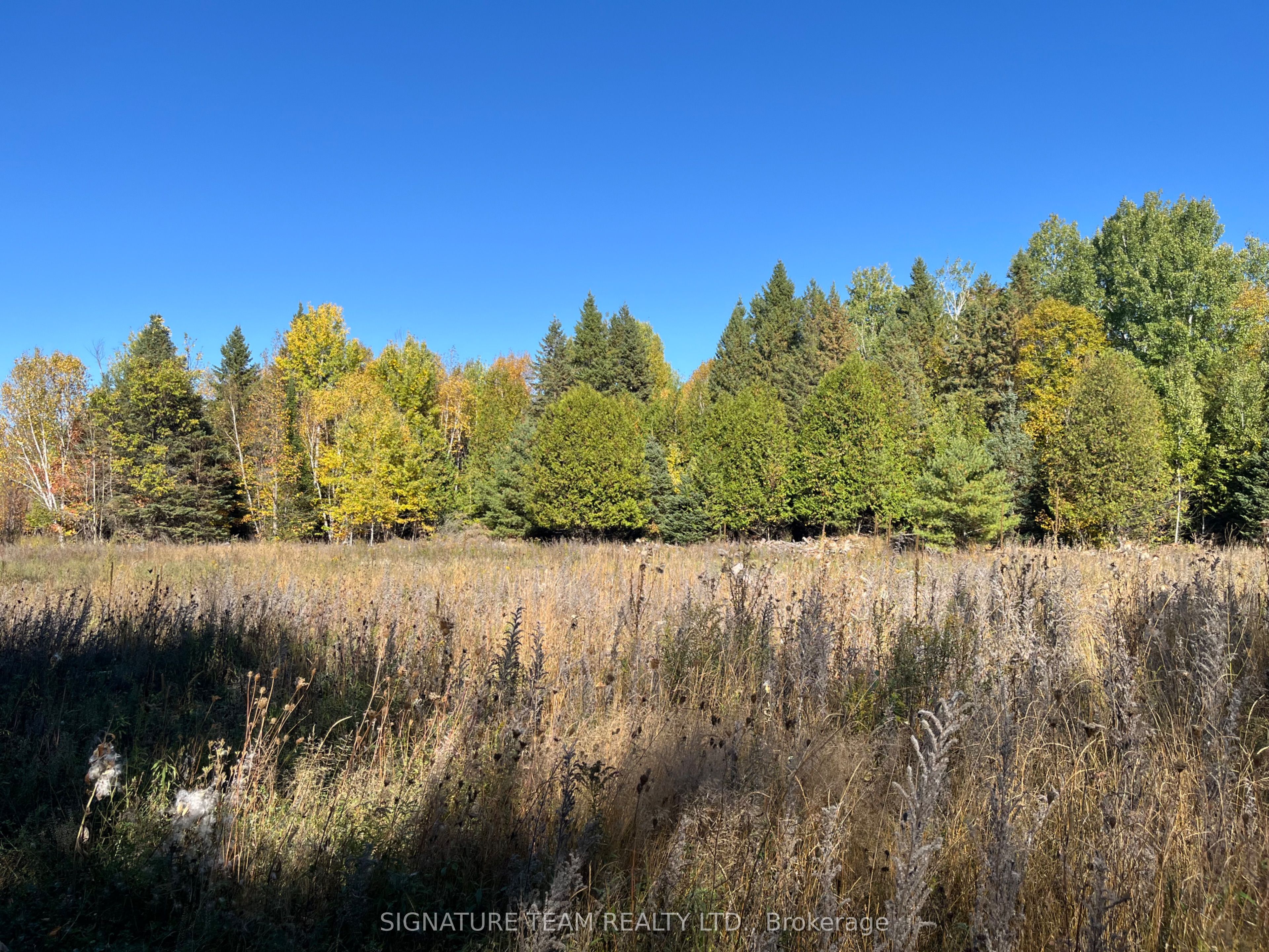 0 Minnie Road Property Photo 6