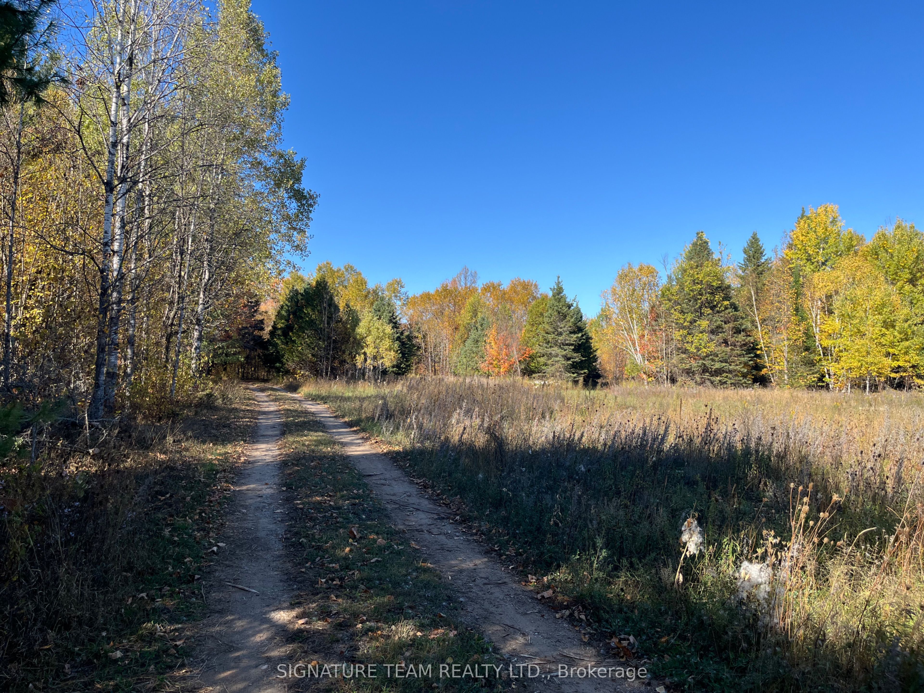 0 Minnie Road Property Photo 7