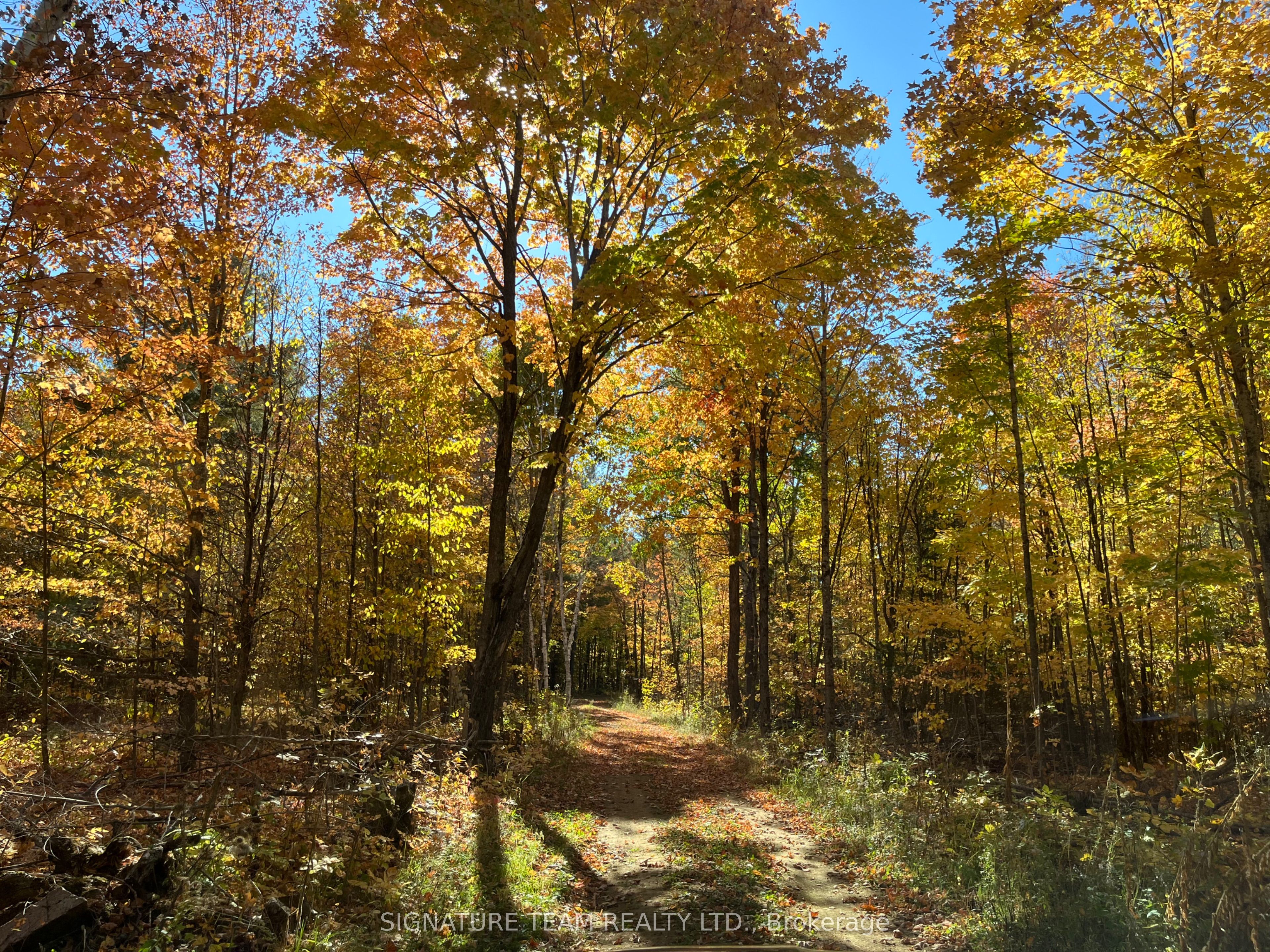 0 Minnie Road Property Photo 9