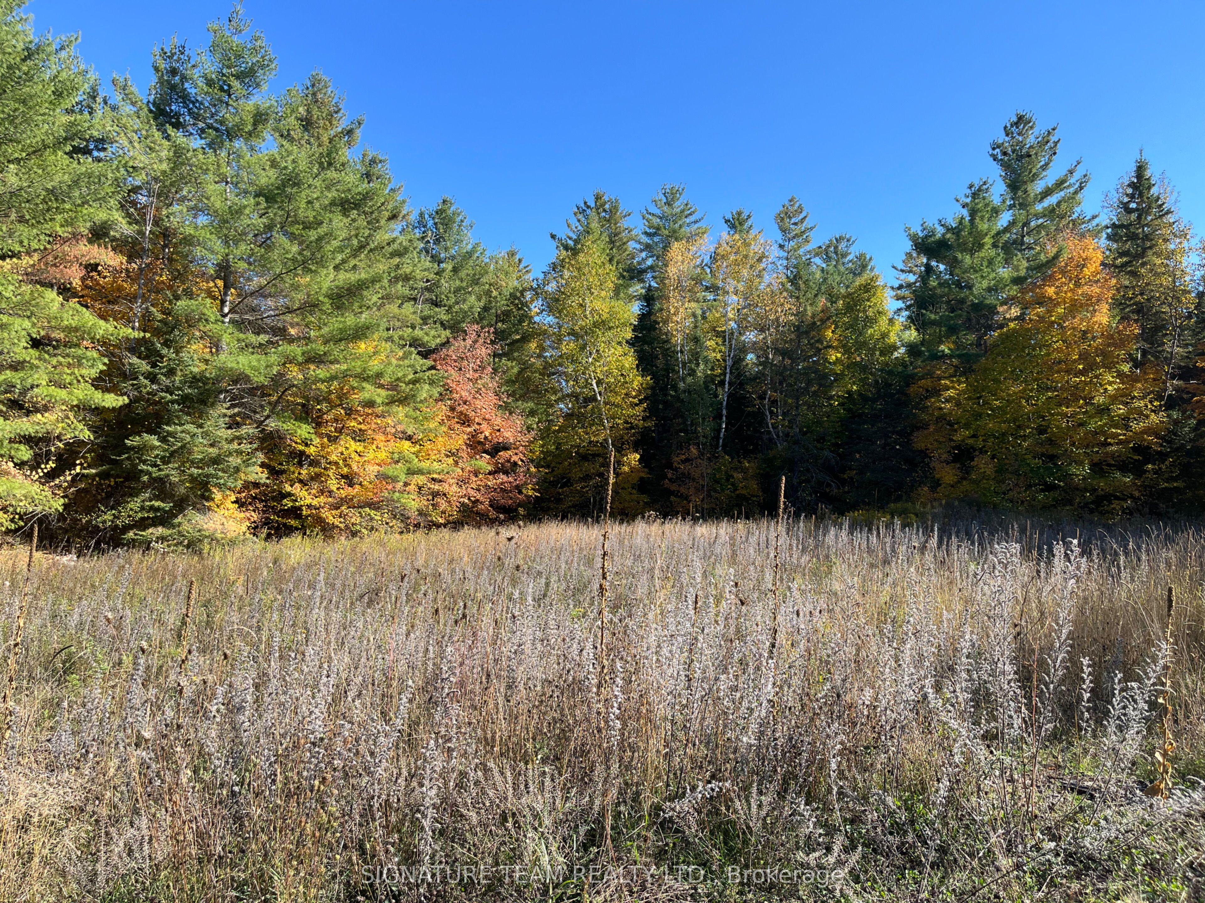 0 Minnie Road Property Photo 10