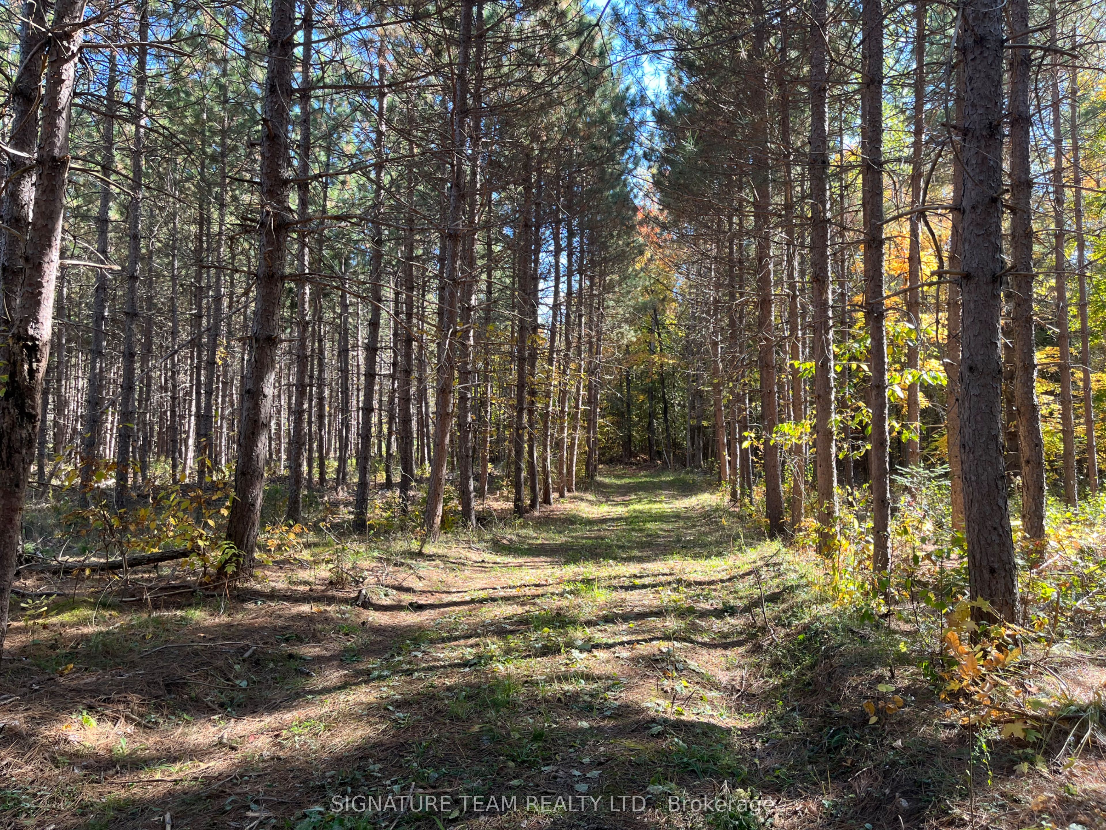 0 Minnie Road Property Photo 11