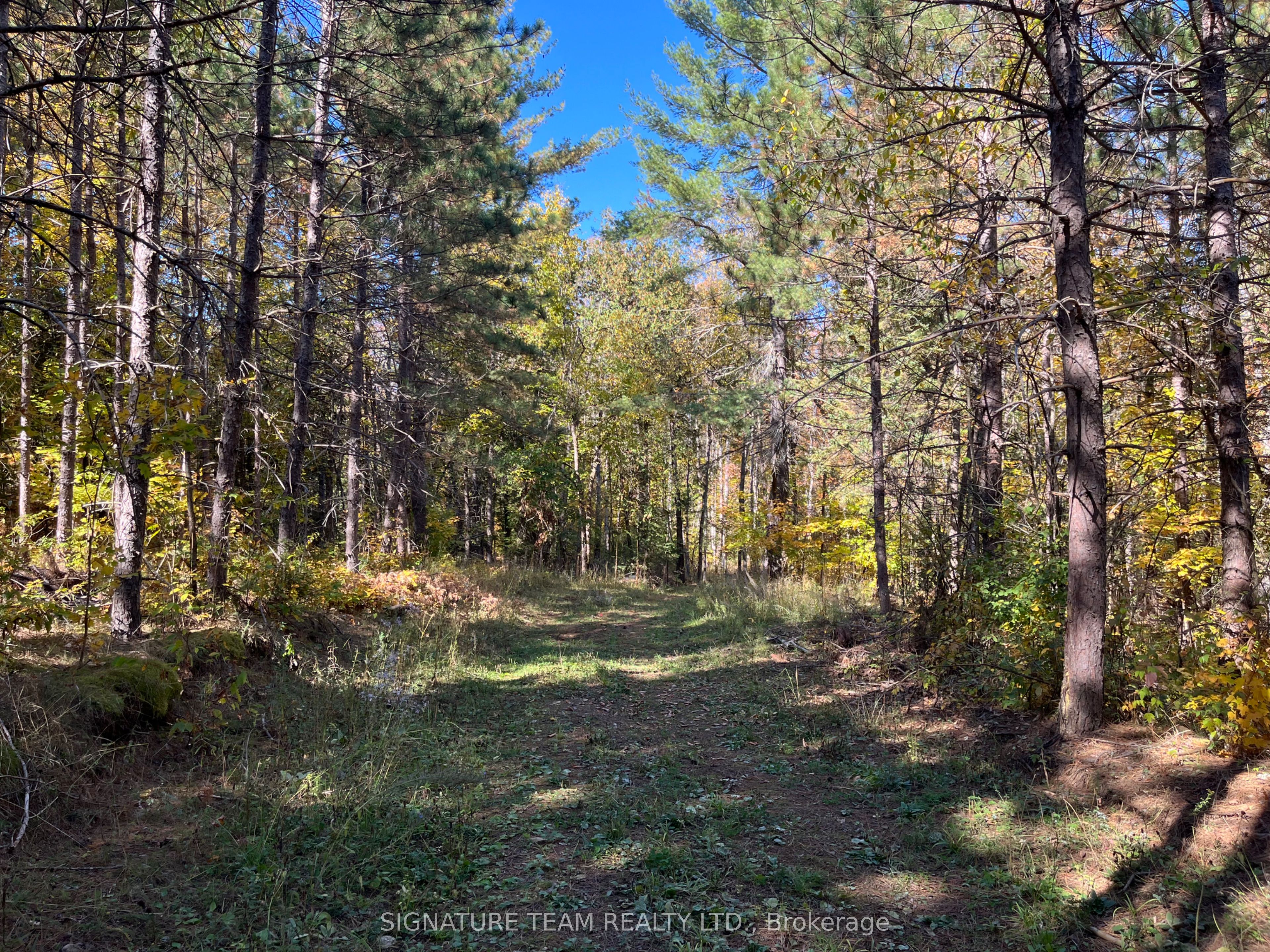 0 Minnie Road Property Photo 12