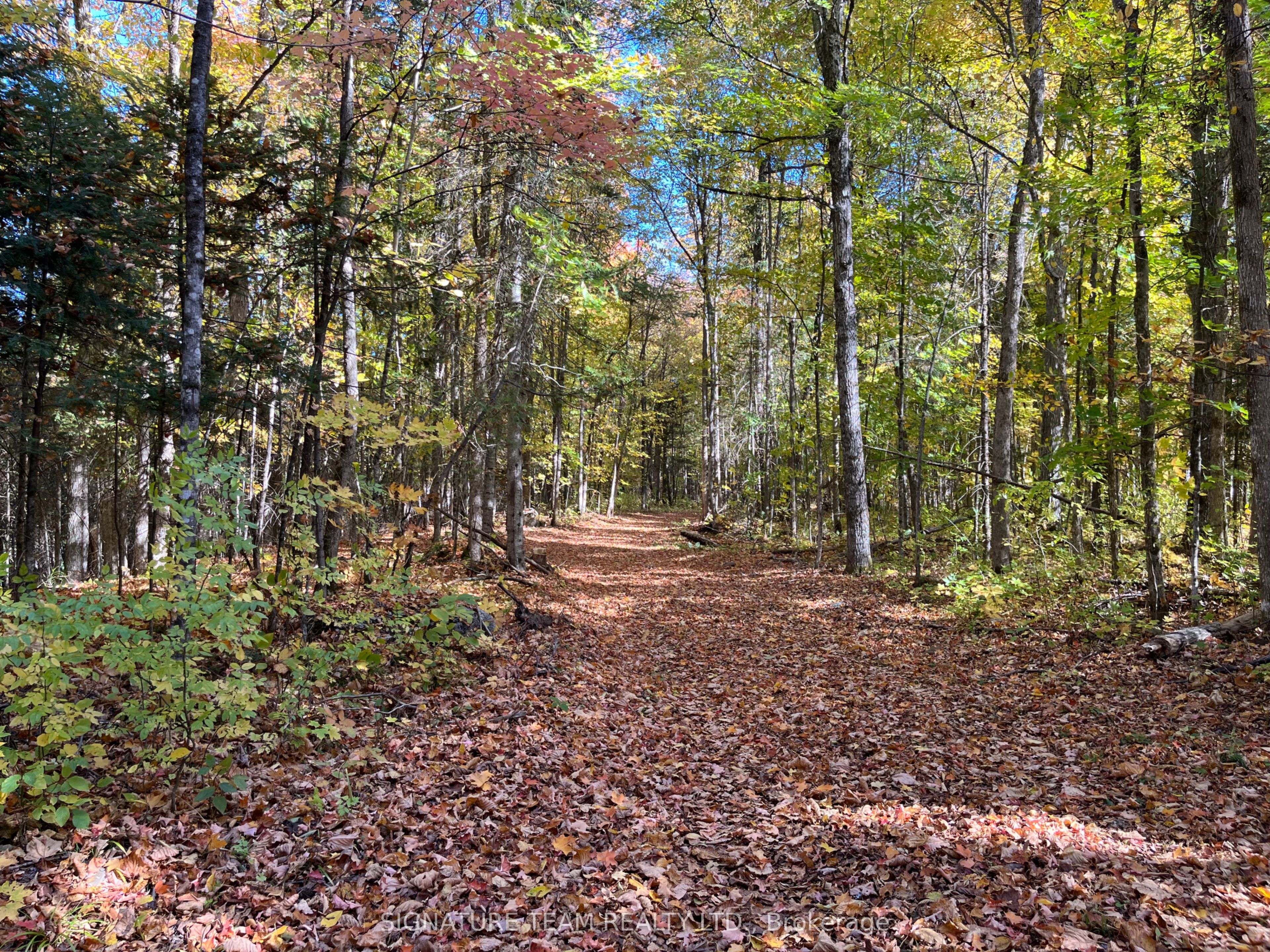 0 Minnie Road Property Photo 13