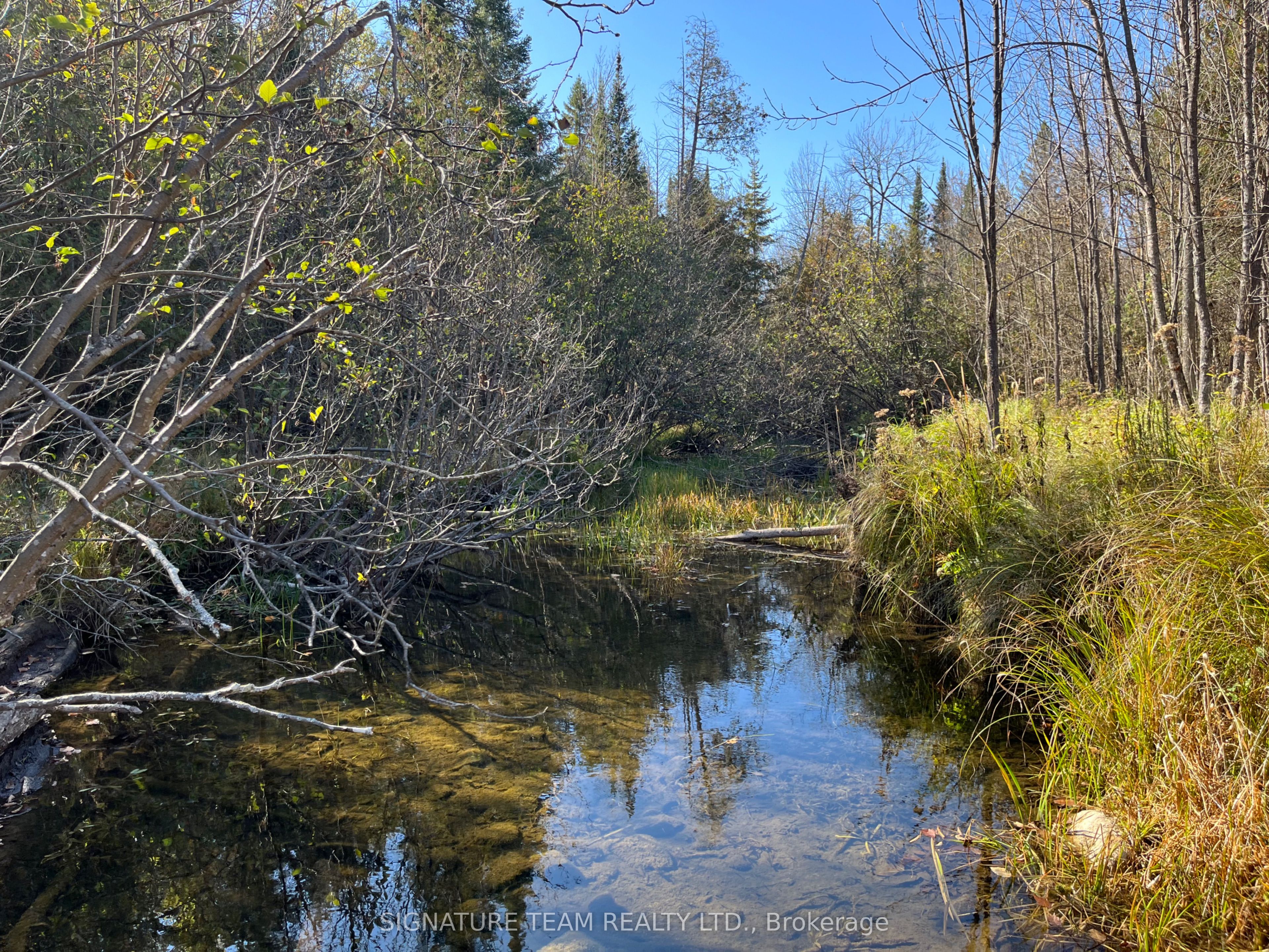 0 Minnie Road Property Photo 14
