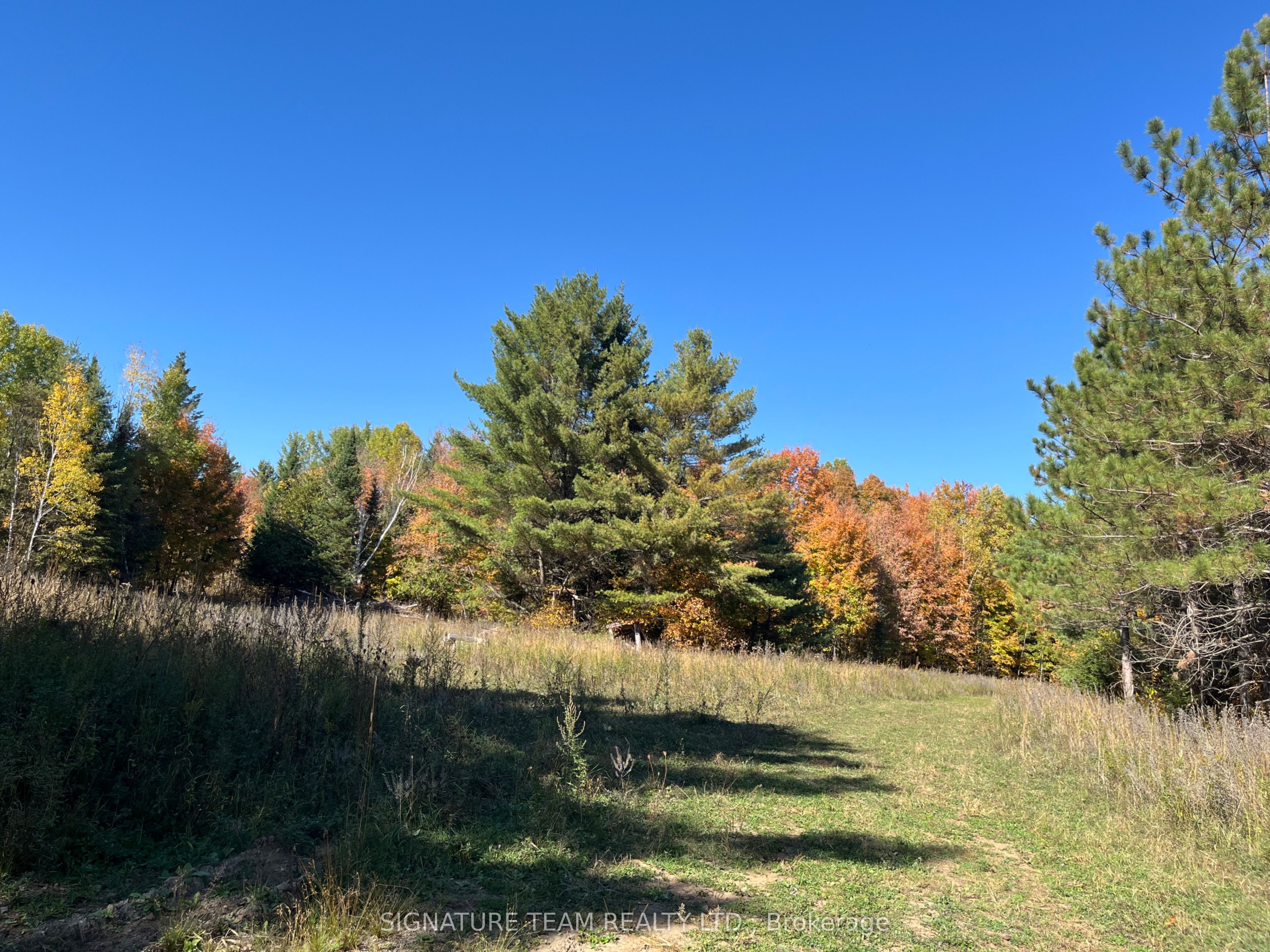 0 Minnie Road Property Photo 15