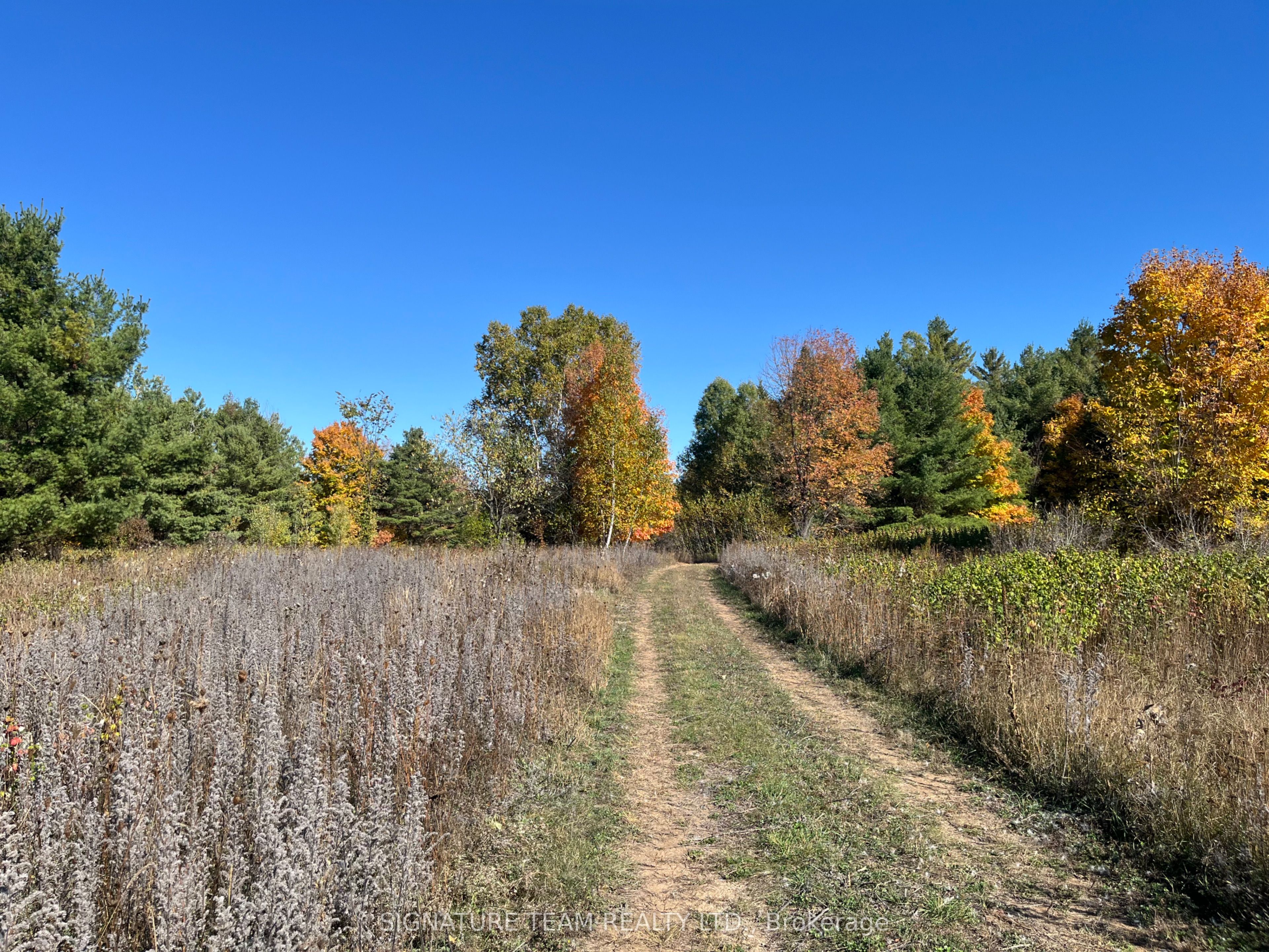 0 Minnie Road Property Photo 16