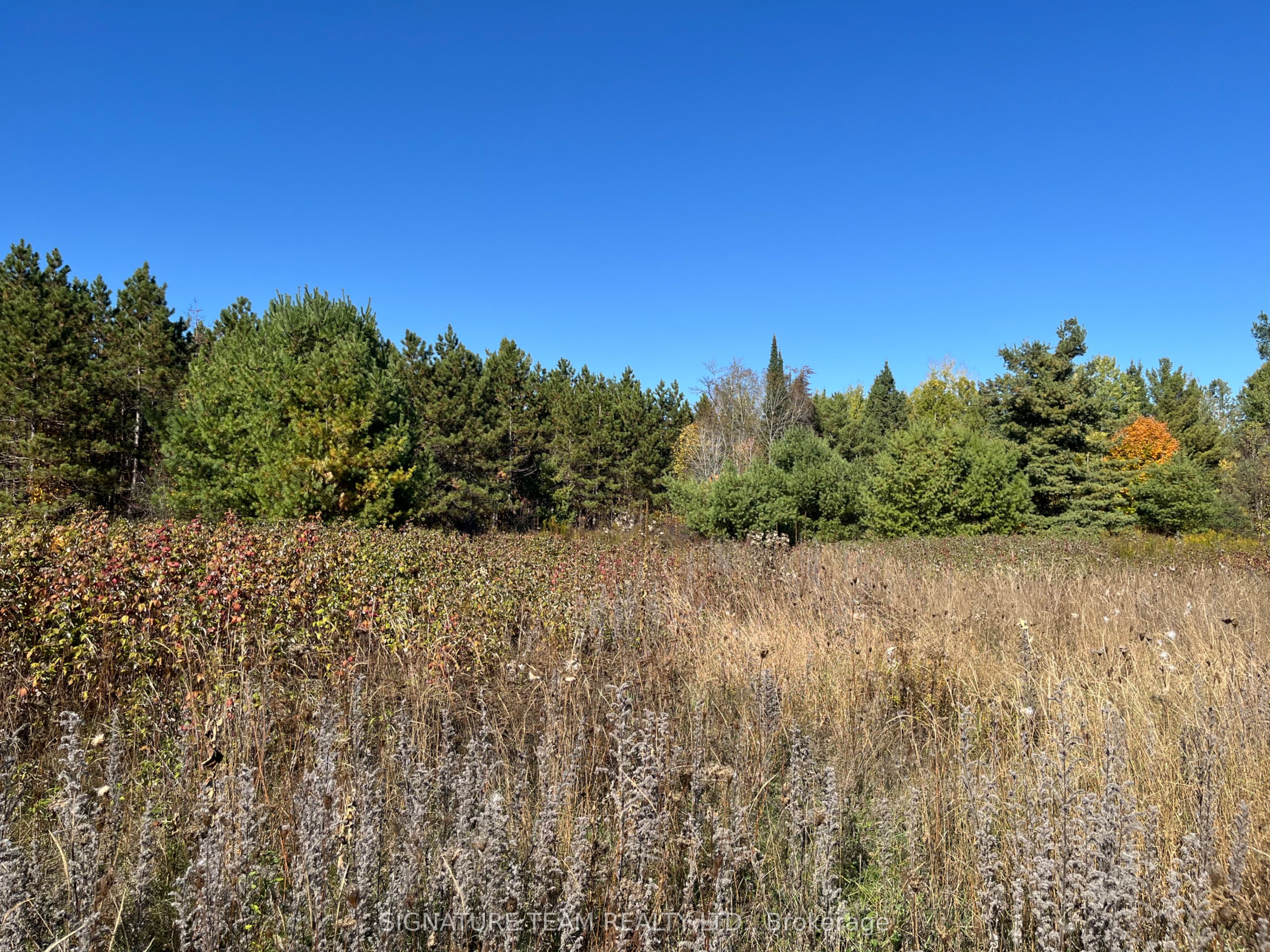 0 Minnie Road Property Photo 17