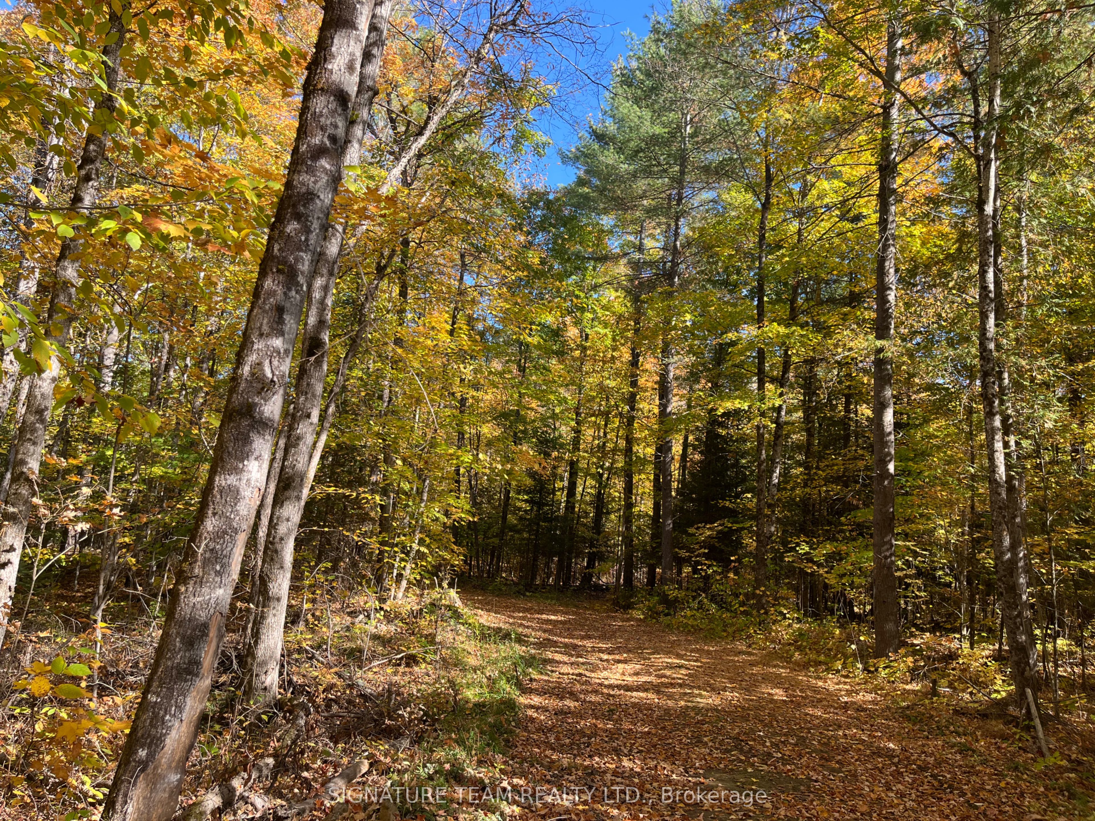 0 Minnie Road Property Photo 18