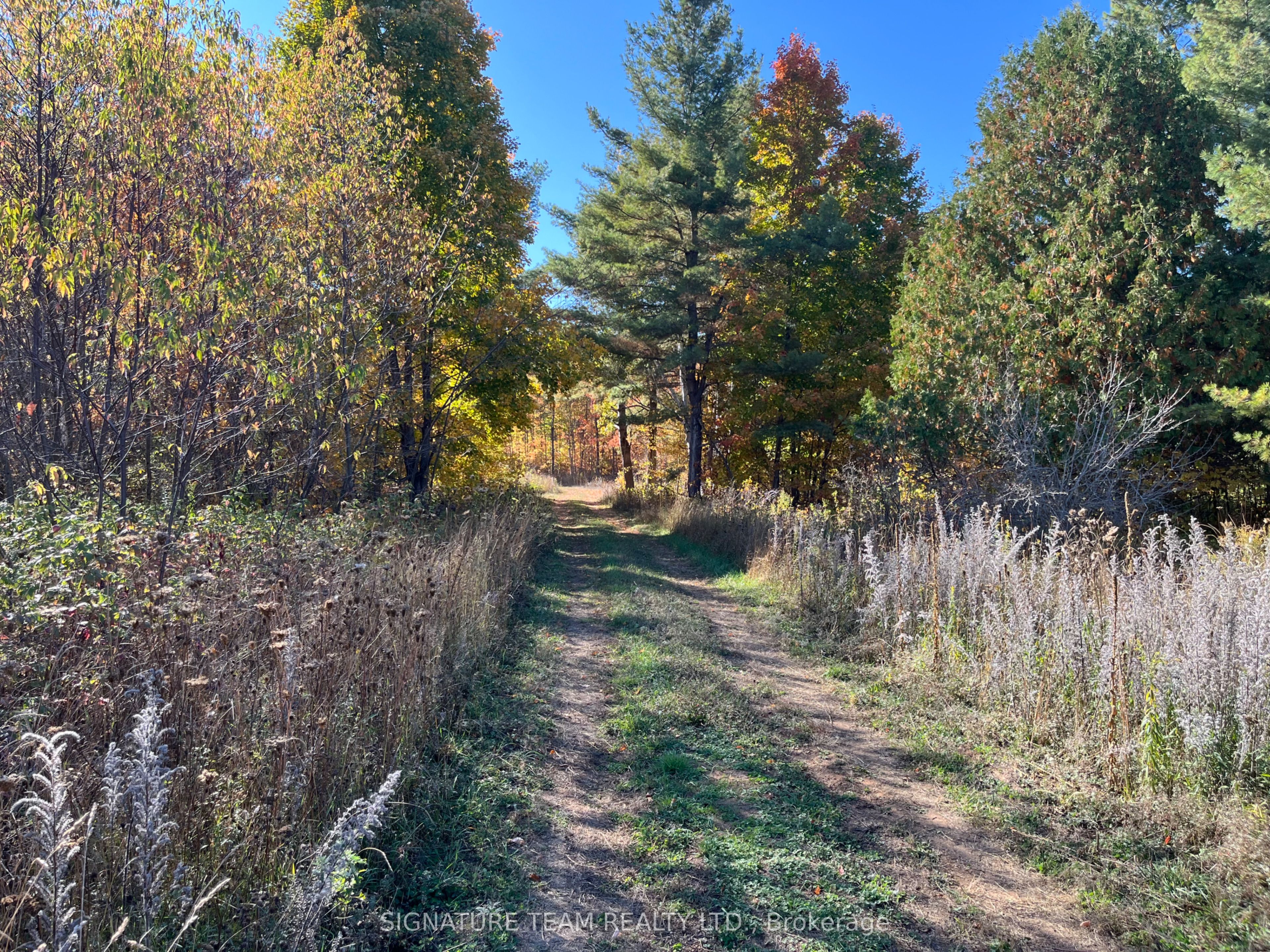 0 Minnie Road Property Photo 19