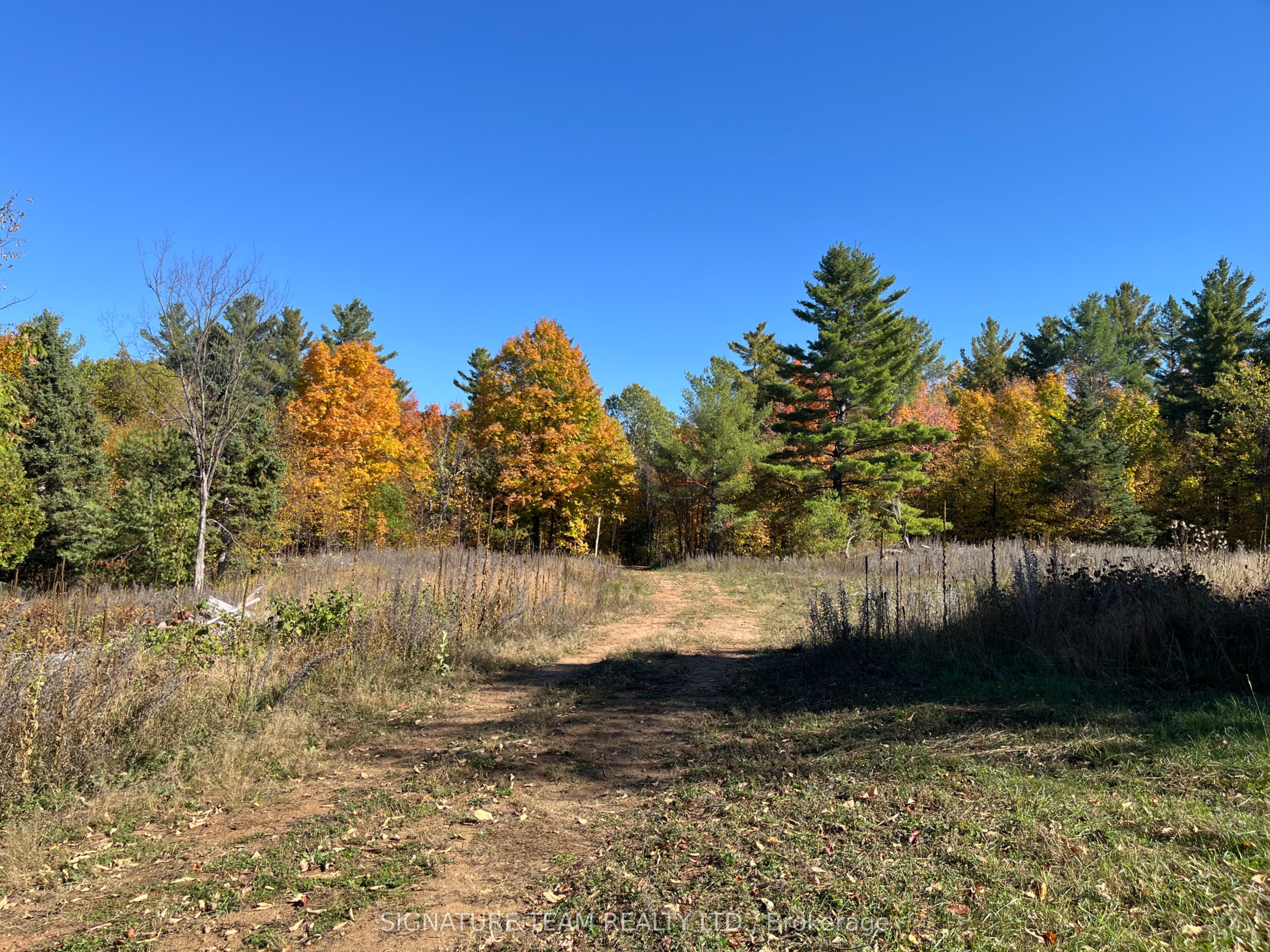 0 Minnie Road Property Photo 20