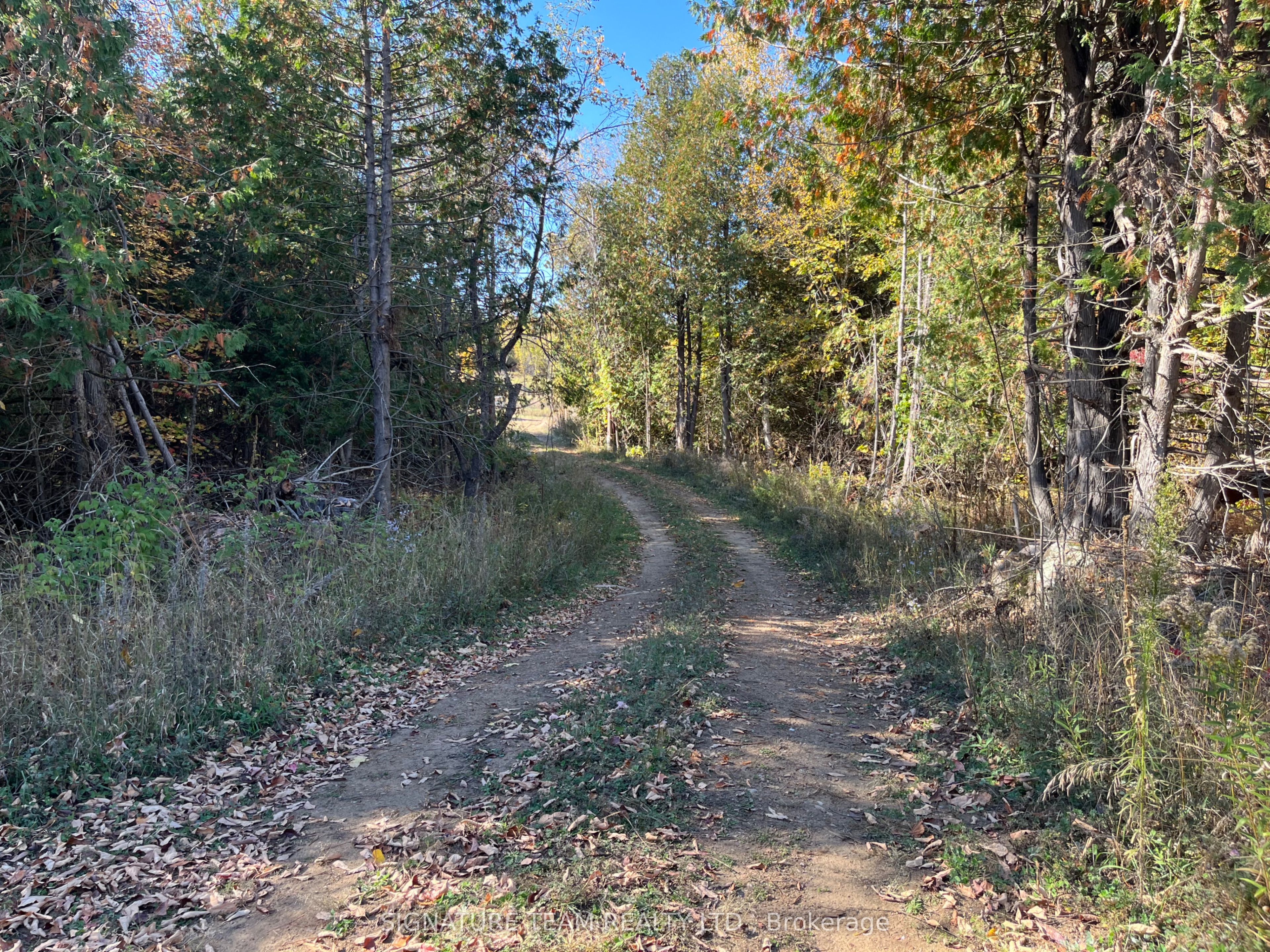 0 Minnie Road Property Photo 21