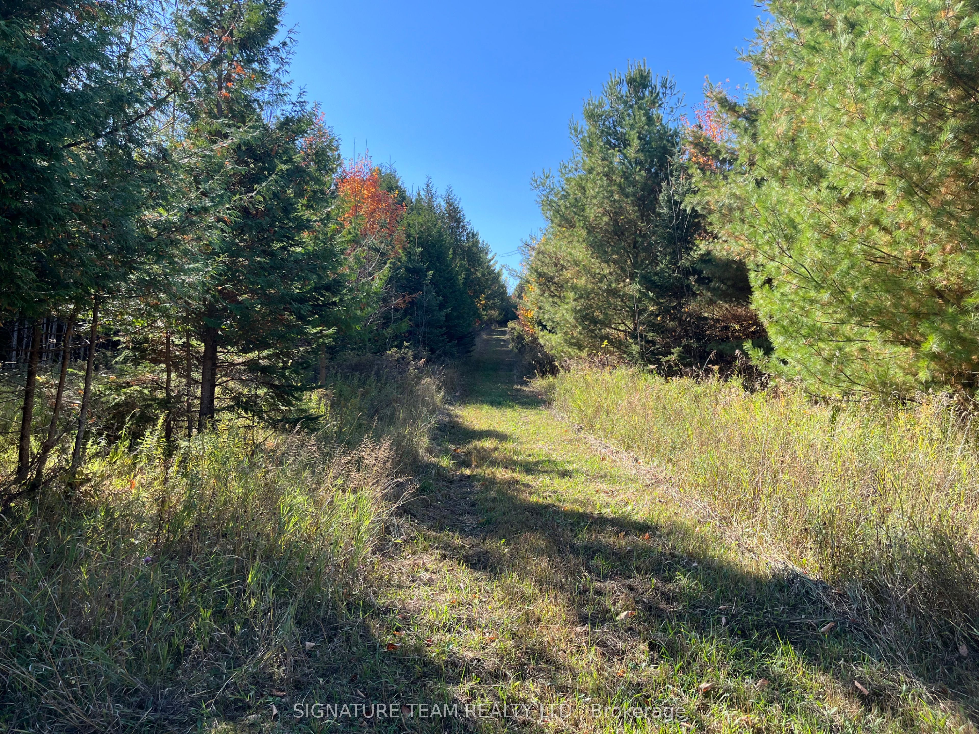 0 Minnie Road Property Photo 24