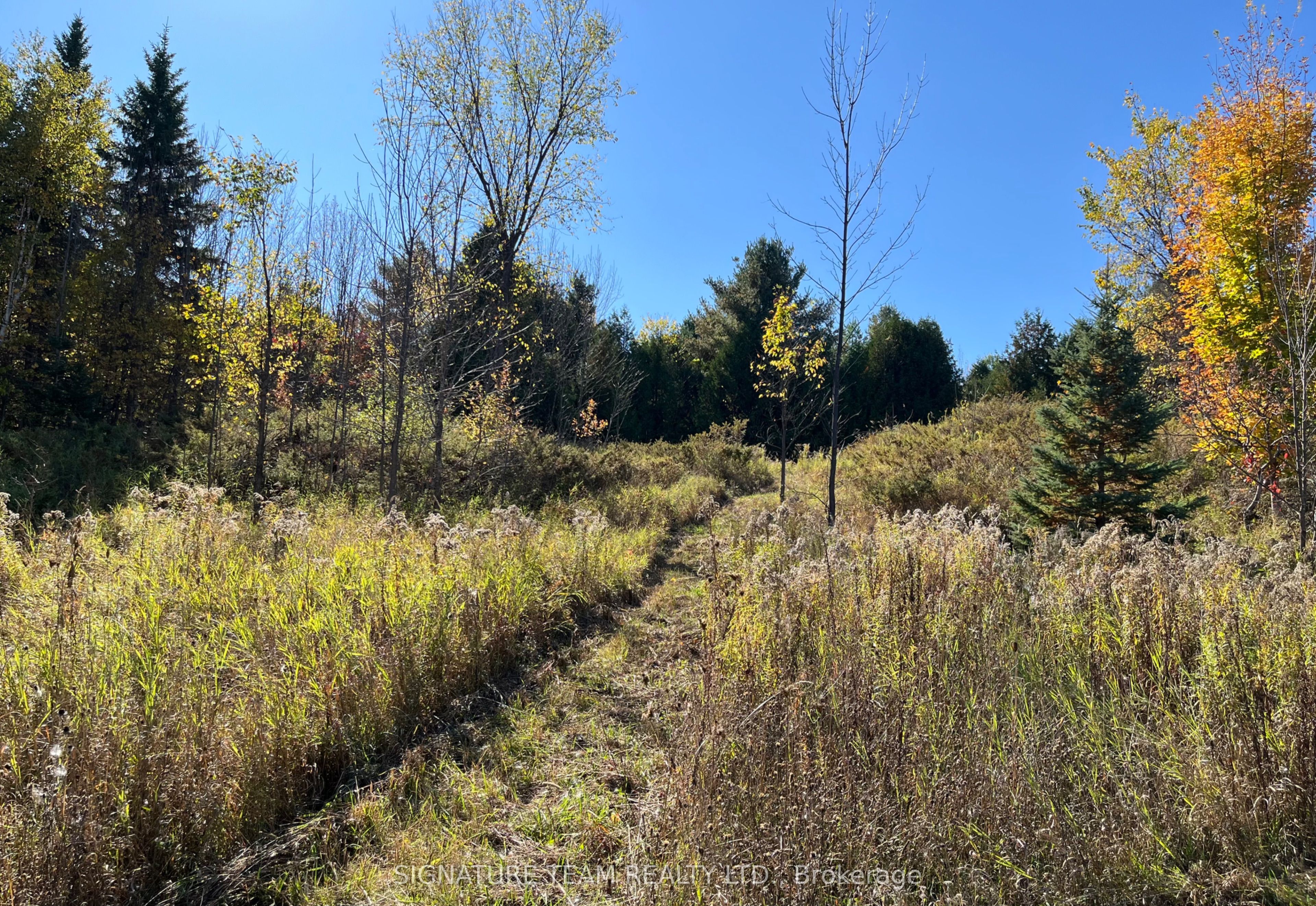 0 Minnie Road Property Photo 28