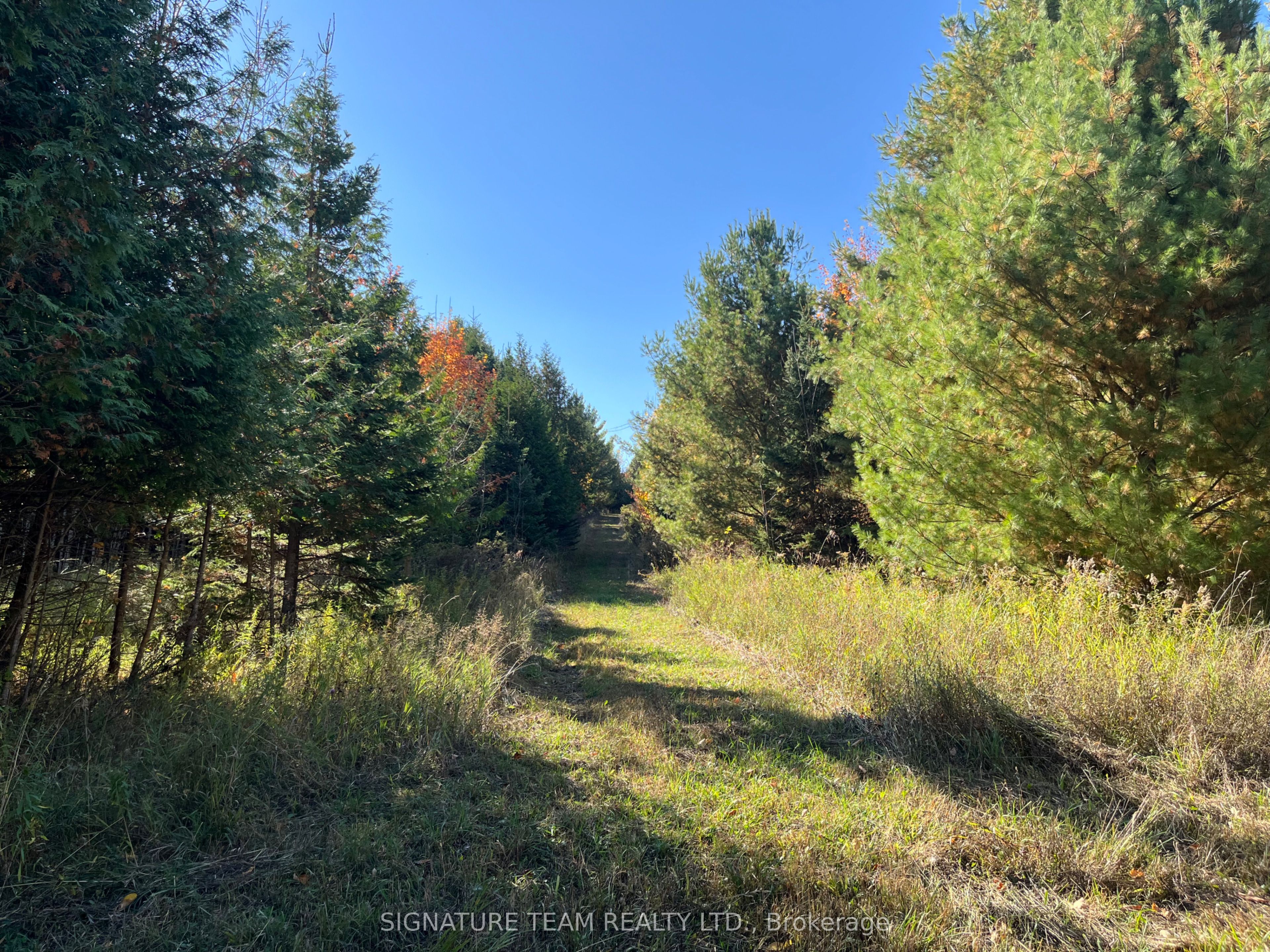 0 Minnie Road Property Photo 33