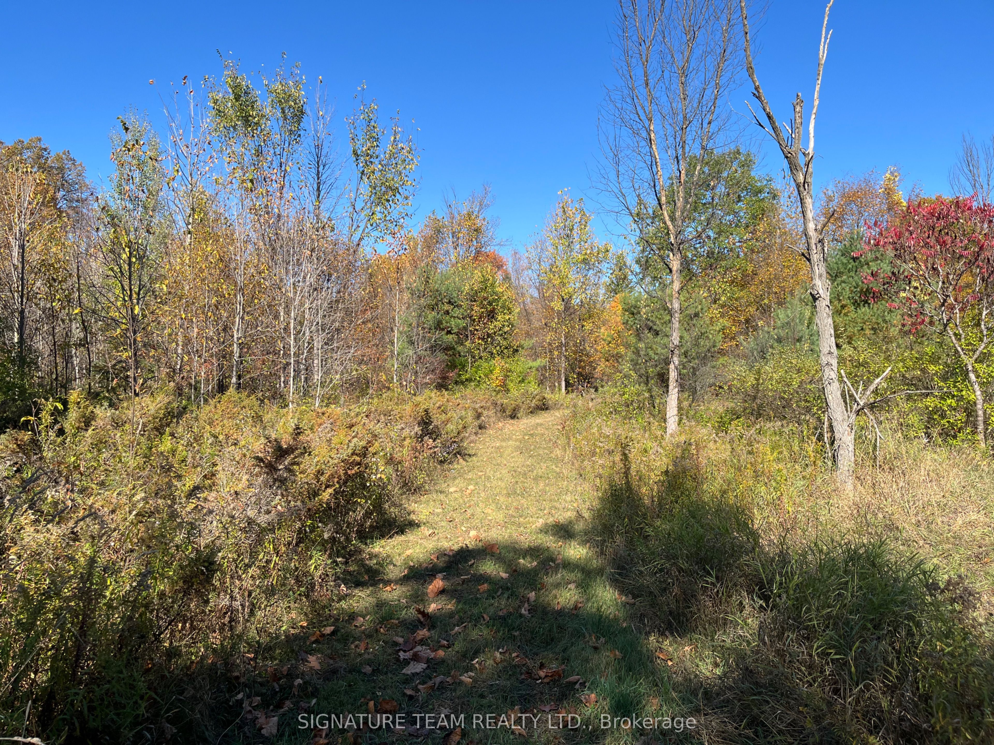 0 Minnie Road Property Photo 34