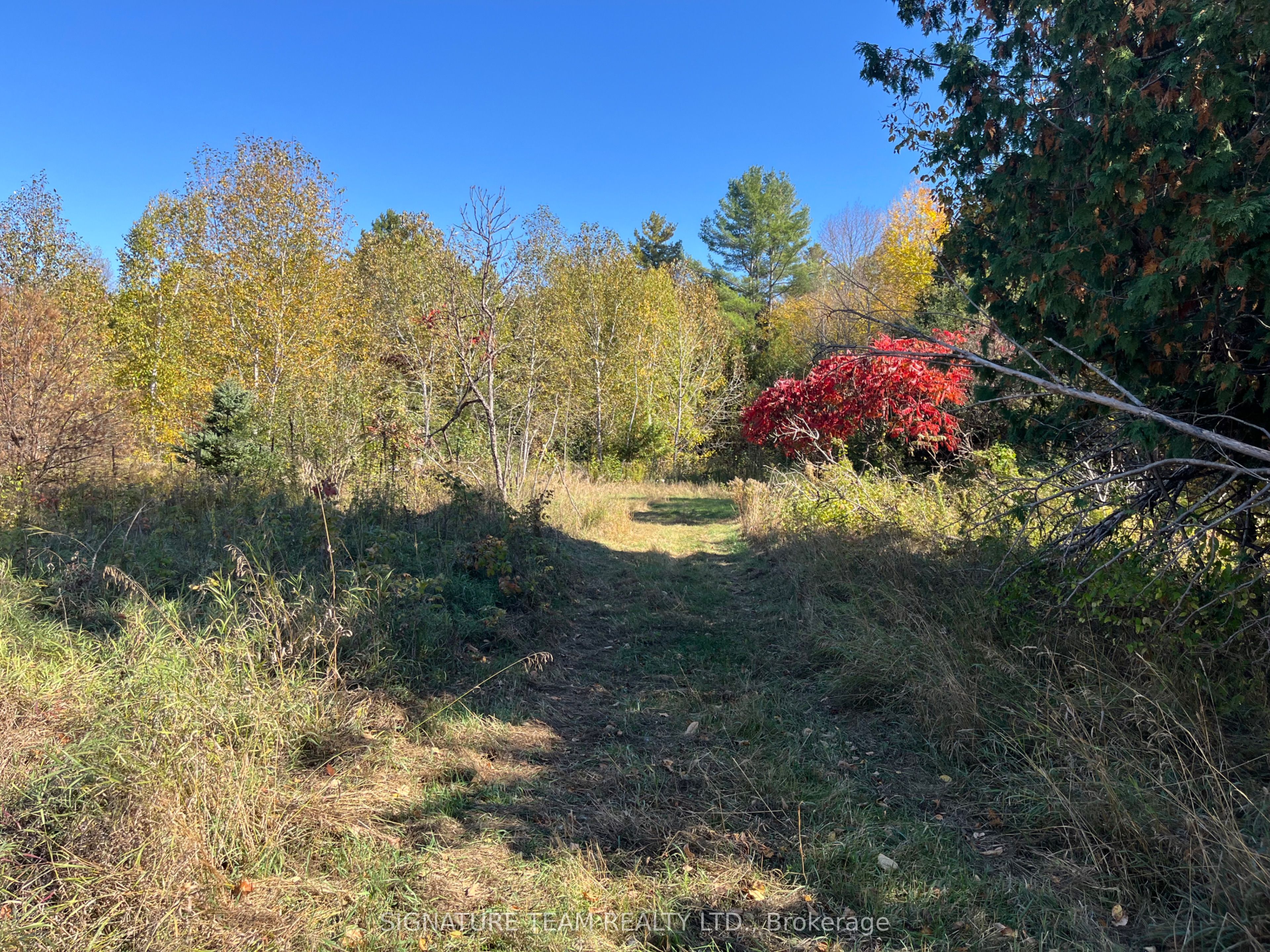 0 Minnie Road Property Photo 35