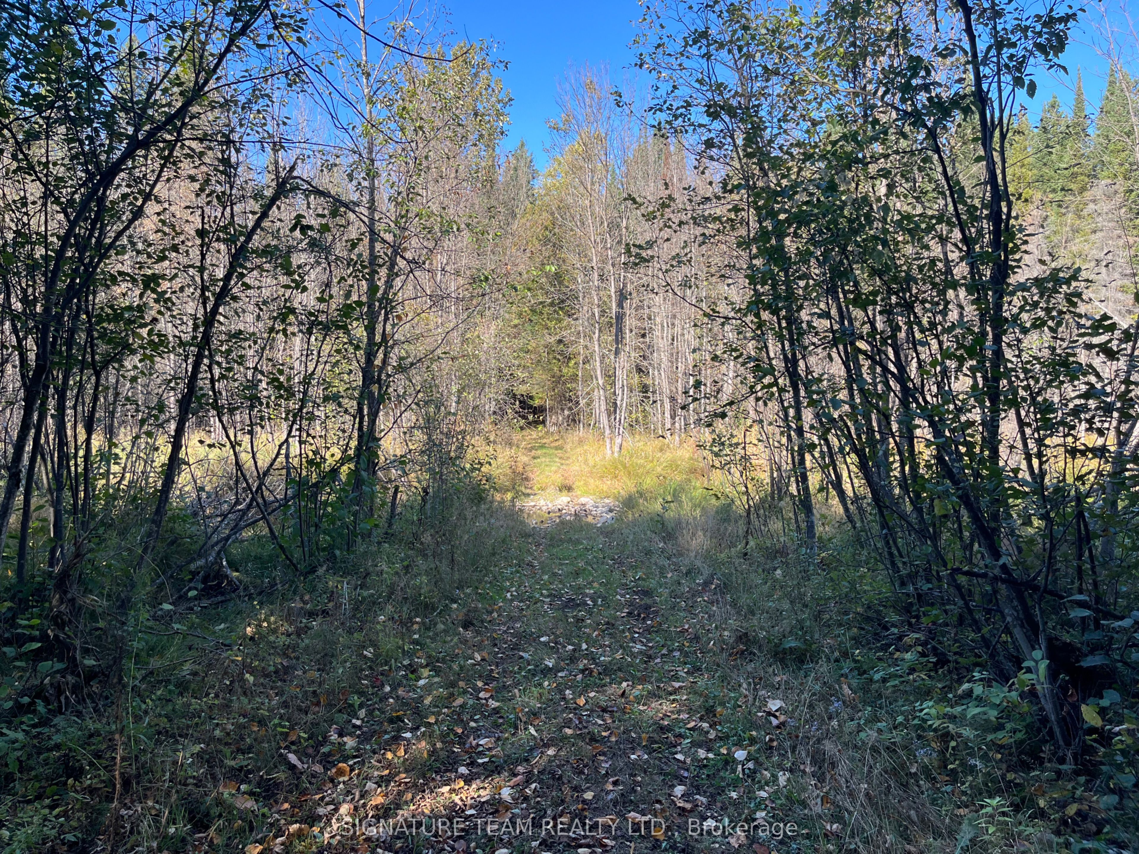 0 Minnie Road Property Photo 36