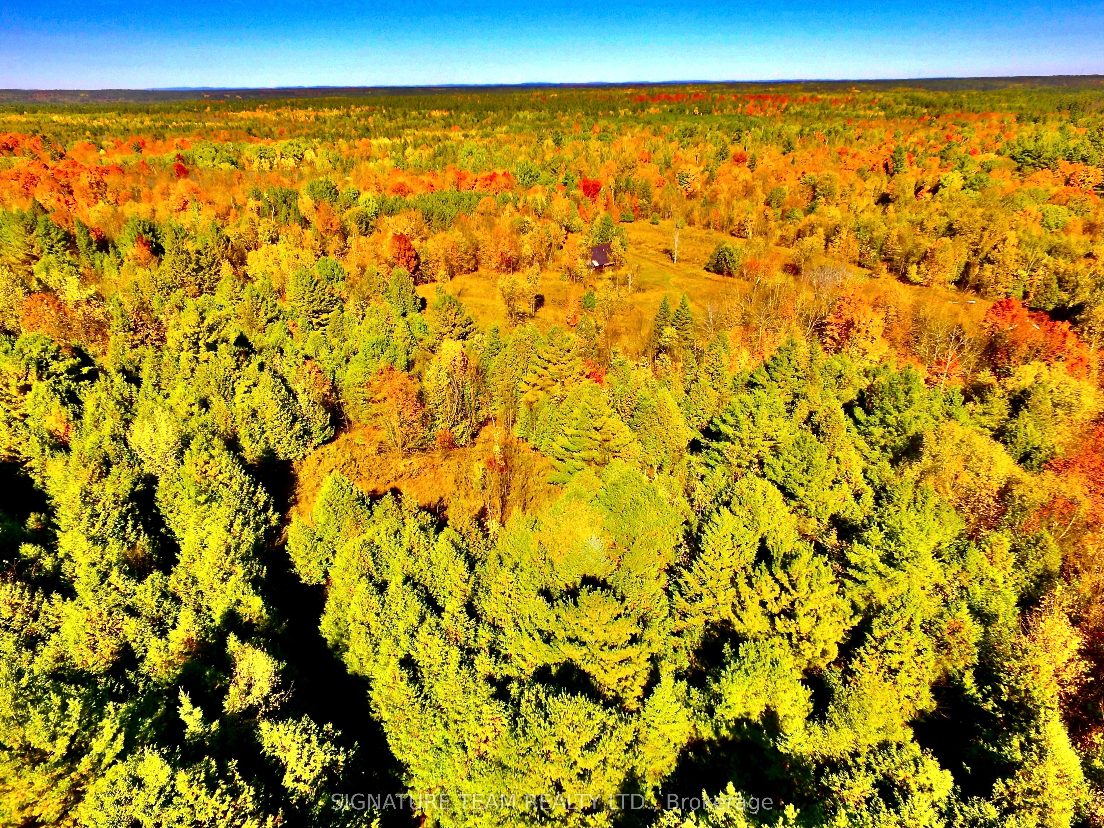 0 Minnie Road Property Photo 43