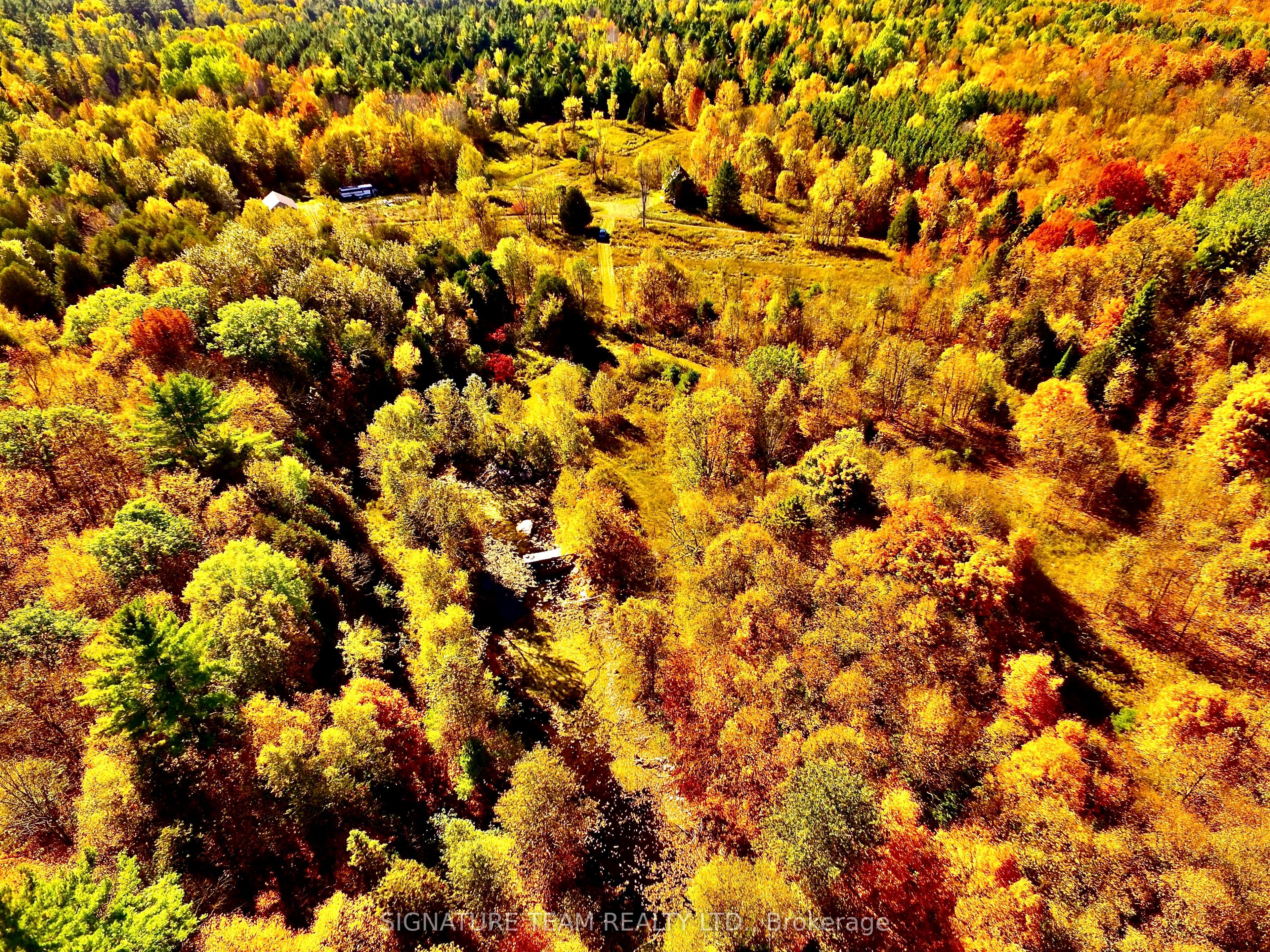 0 Minnie Road Property Photo 45