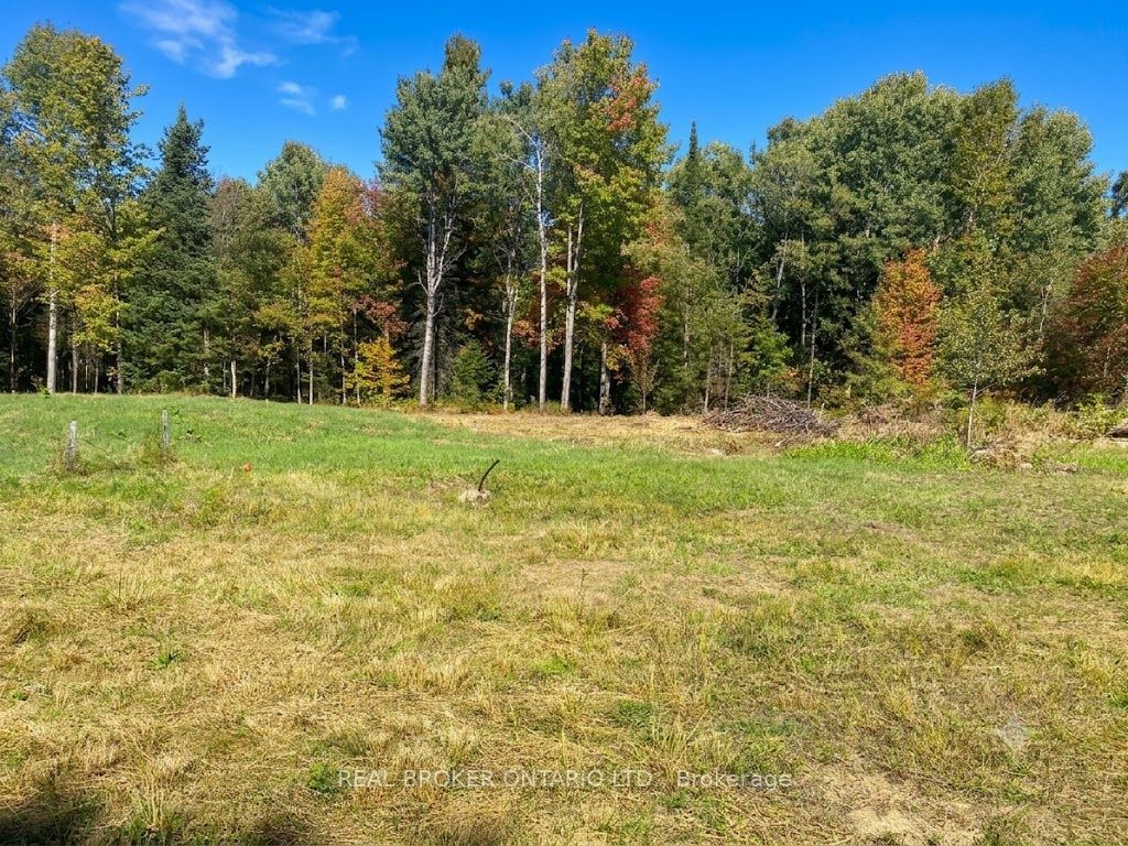 1248 Beiers Road Property Photo 3