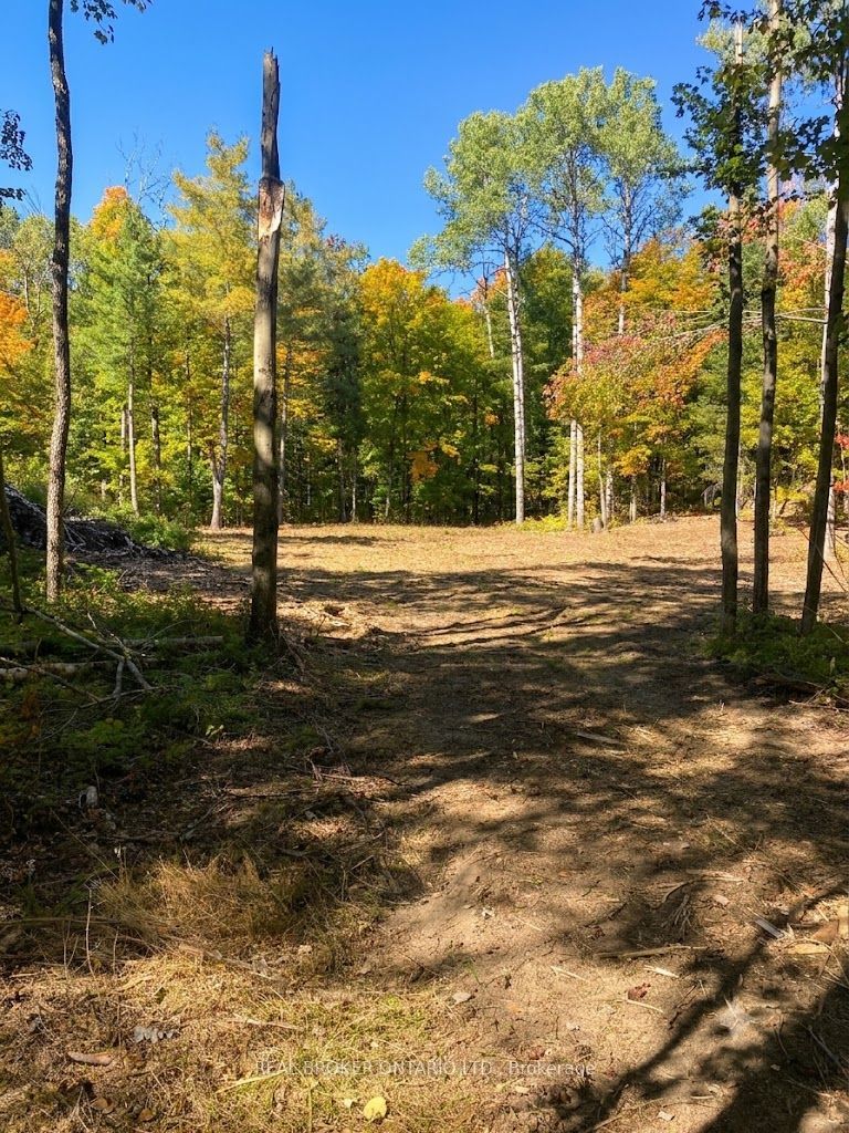 1248 Beiers Road Property Photo 4