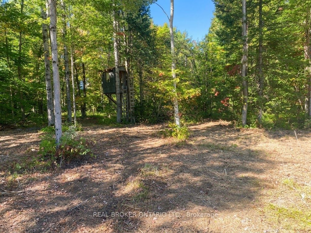 1248 Beiers Road Property Photo 6