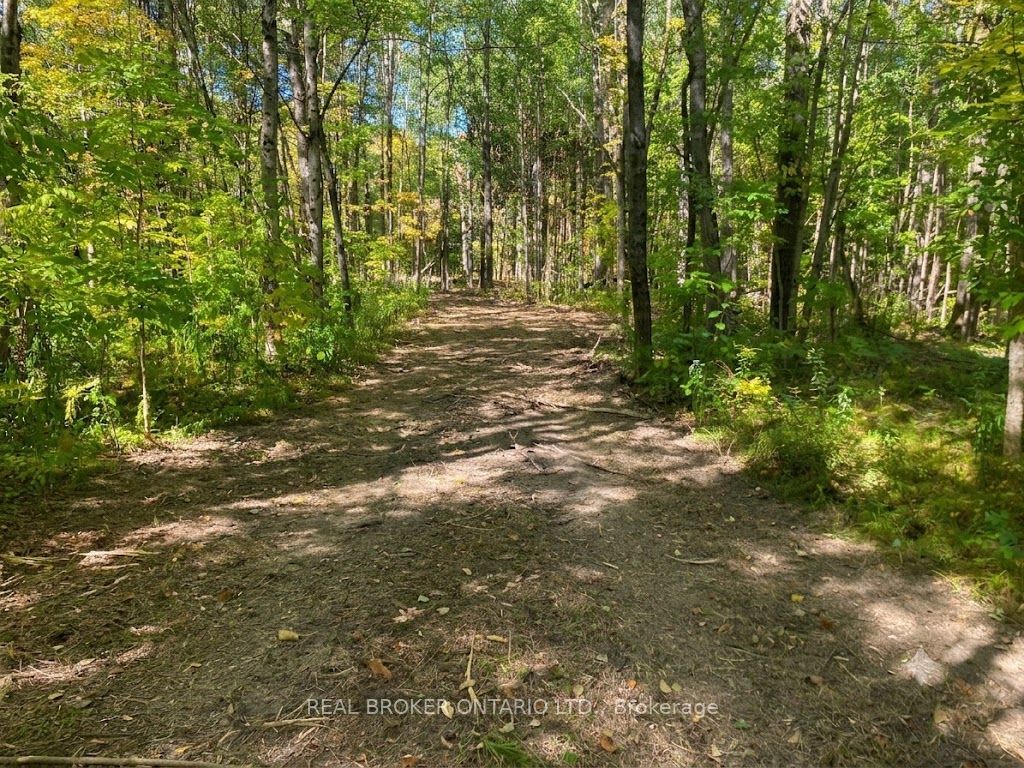 1248 Beiers Road Property Photo 8