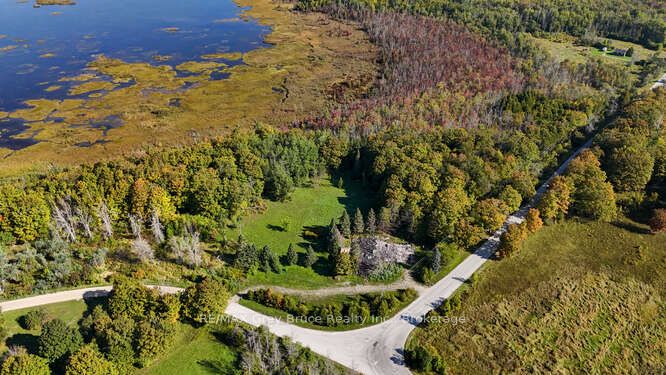 290 Clarke's Road Property Photo 5