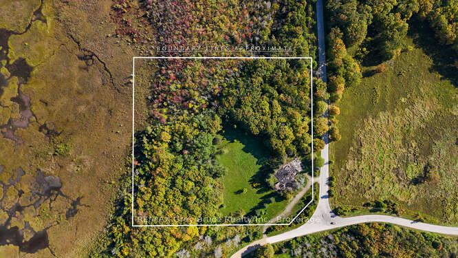 290 Clarke's Road Property Photo 9