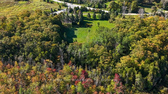 290 Clarke's Road Property Photo 12